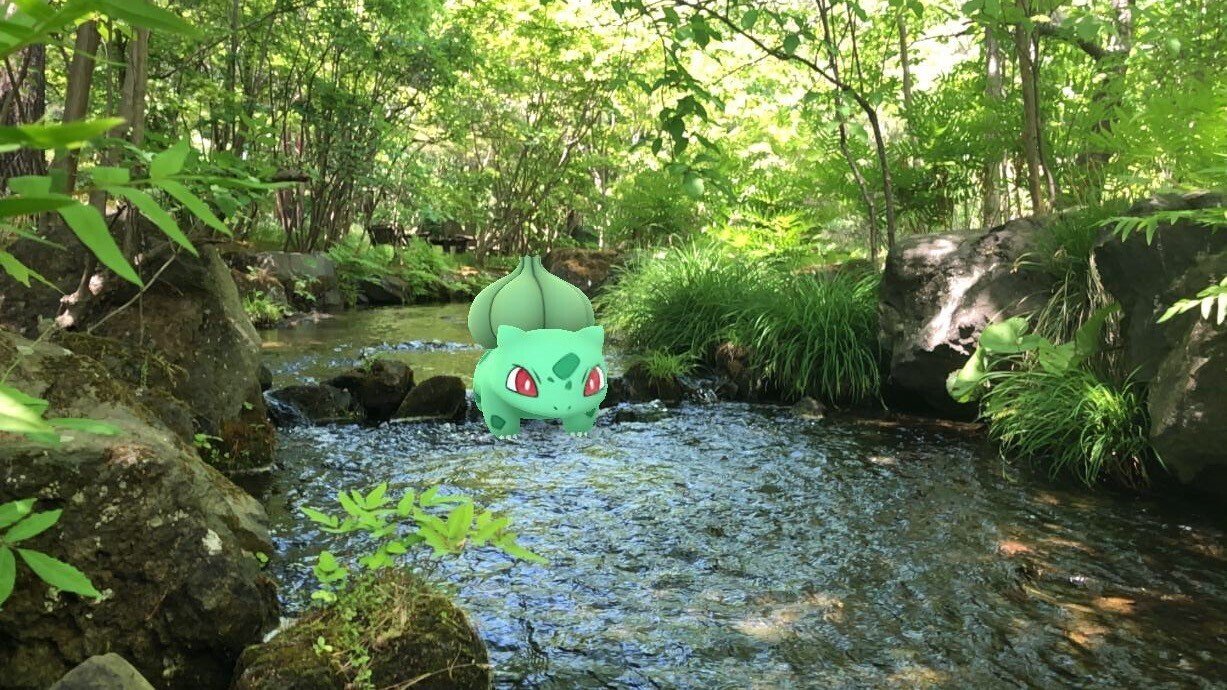 被写体として 強い ポケモンは何か タイプ別最強ランキング ポケモンgo かわづの Note