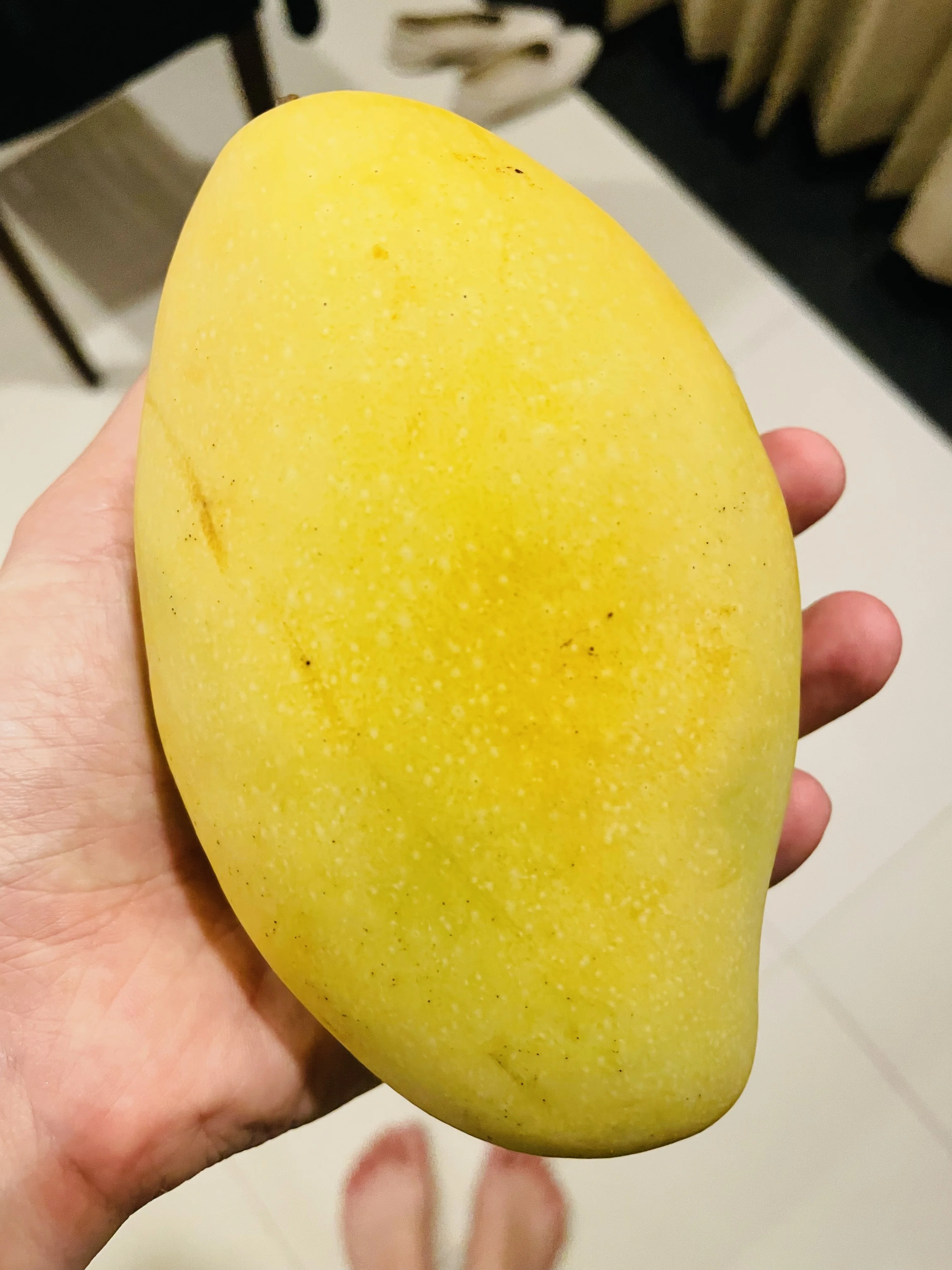 マンゴーの難点は歯に挟まること Yucapoki Note