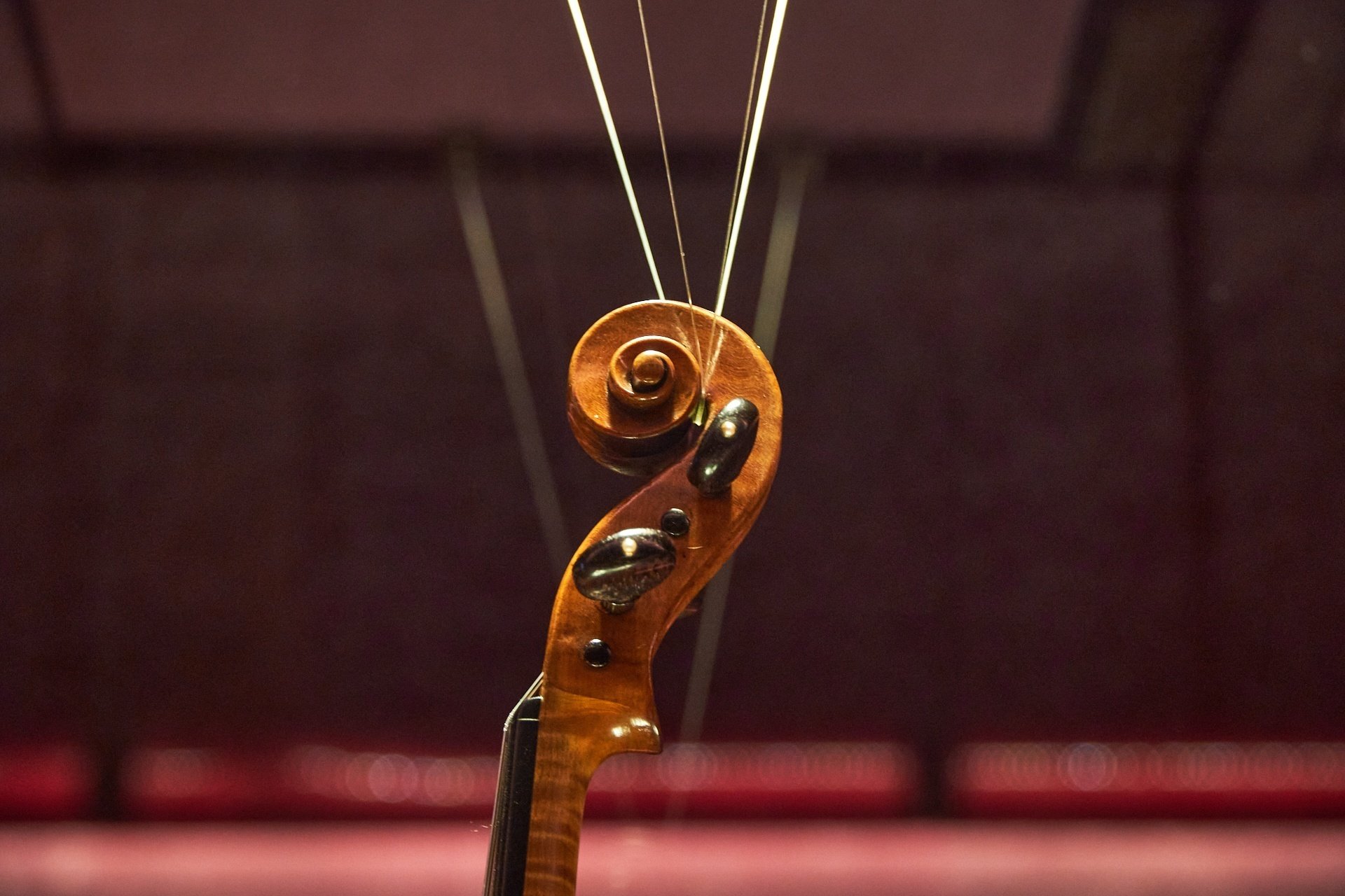 クレモナのバイオリン物語｜イタリアのモノづくり | ようこ