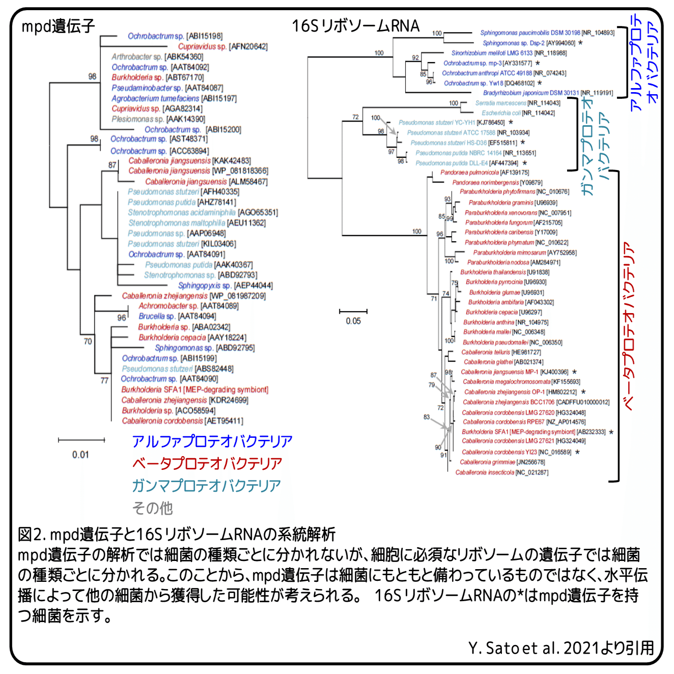 ホソヘリカメムシの殺虫剤抵抗性 助け合いで生き残る 論文紹介 かわいせーざん 基礎研究っておもしろい 生物編 Note