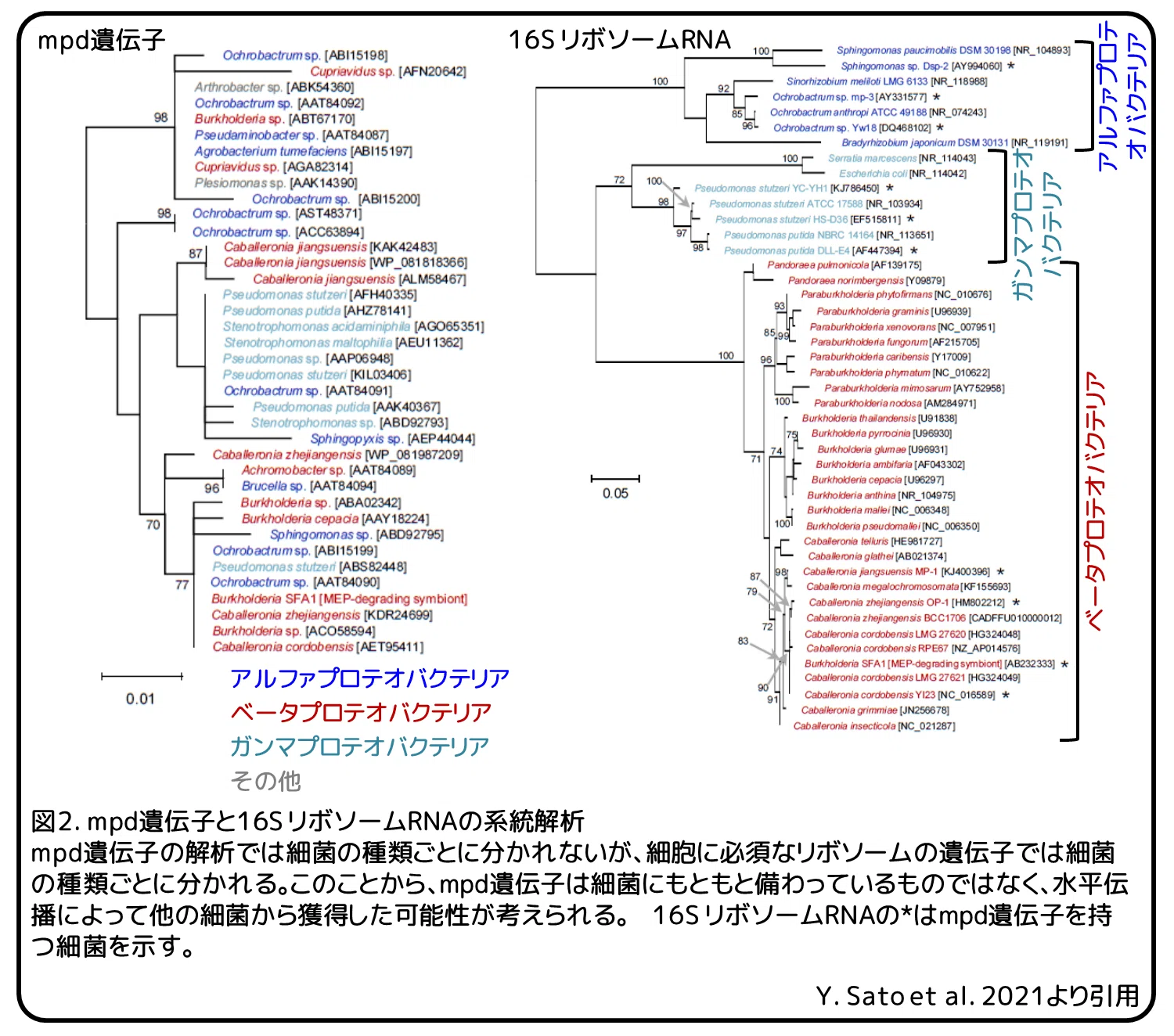 ホソヘリカメムシの殺虫剤抵抗性 助け合いで生き残る 論文紹介 かわいせーざん 基礎研究っておもしろい 生物編 Note ホソヘリカメムシの殺虫剤抵抗性 助け合いで生き残る 論文紹介 かわいせーざん 基礎研究っておもしろい 生物編 Note