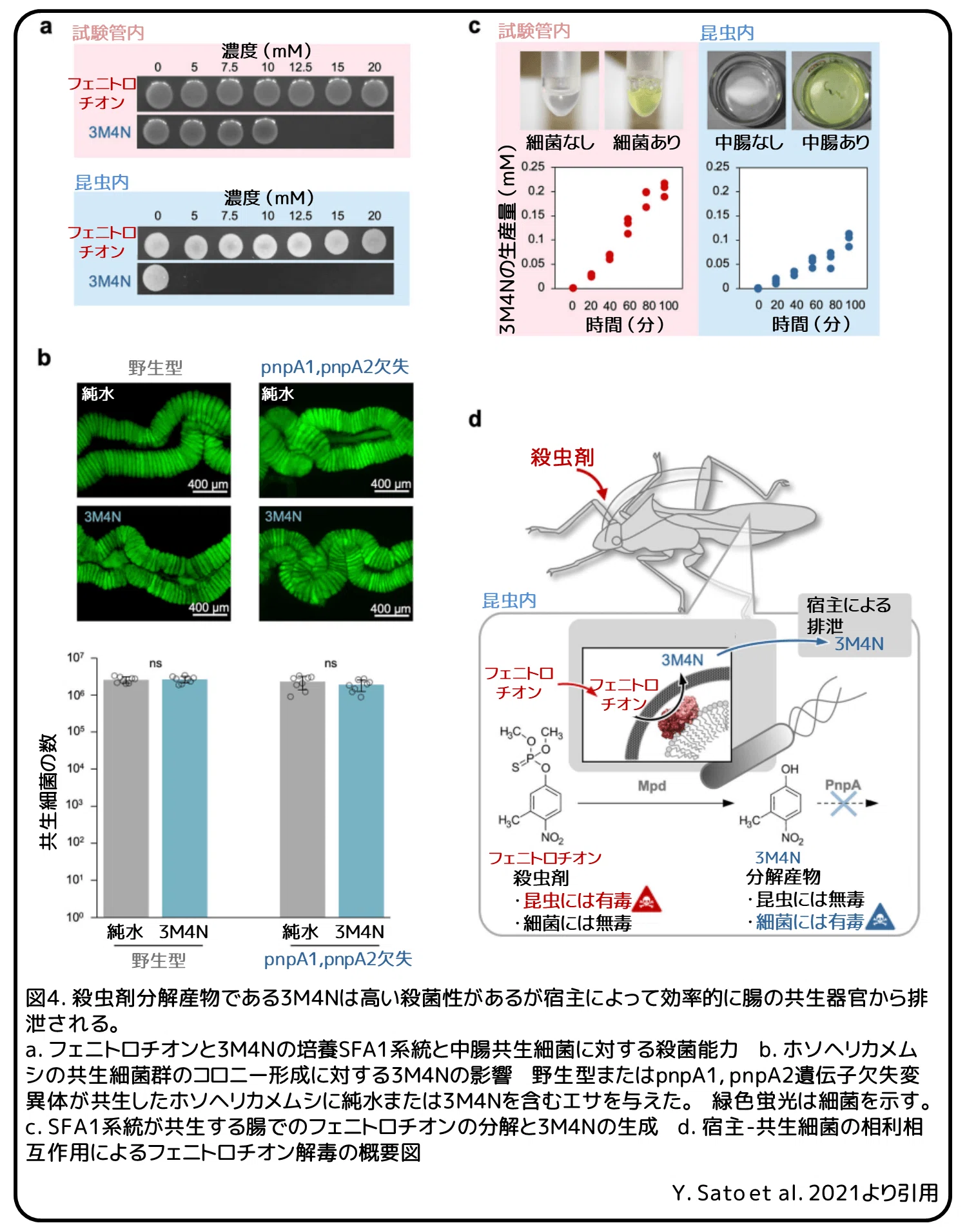 ホソヘリカメムシの殺虫剤抵抗性 助け合いで生き残る 論文紹介 かわいせーざん 基礎研究っておもしろい 生物編 Note ホソヘリカメムシの殺虫剤抵抗性 助け合いで生き残る 論文紹介 かわいせーざん 基礎研究っておもしろい 生物編 Note
