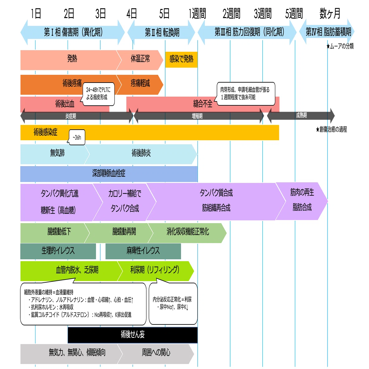 術後の経過・術後合併症まとめシート｜ちみくま
