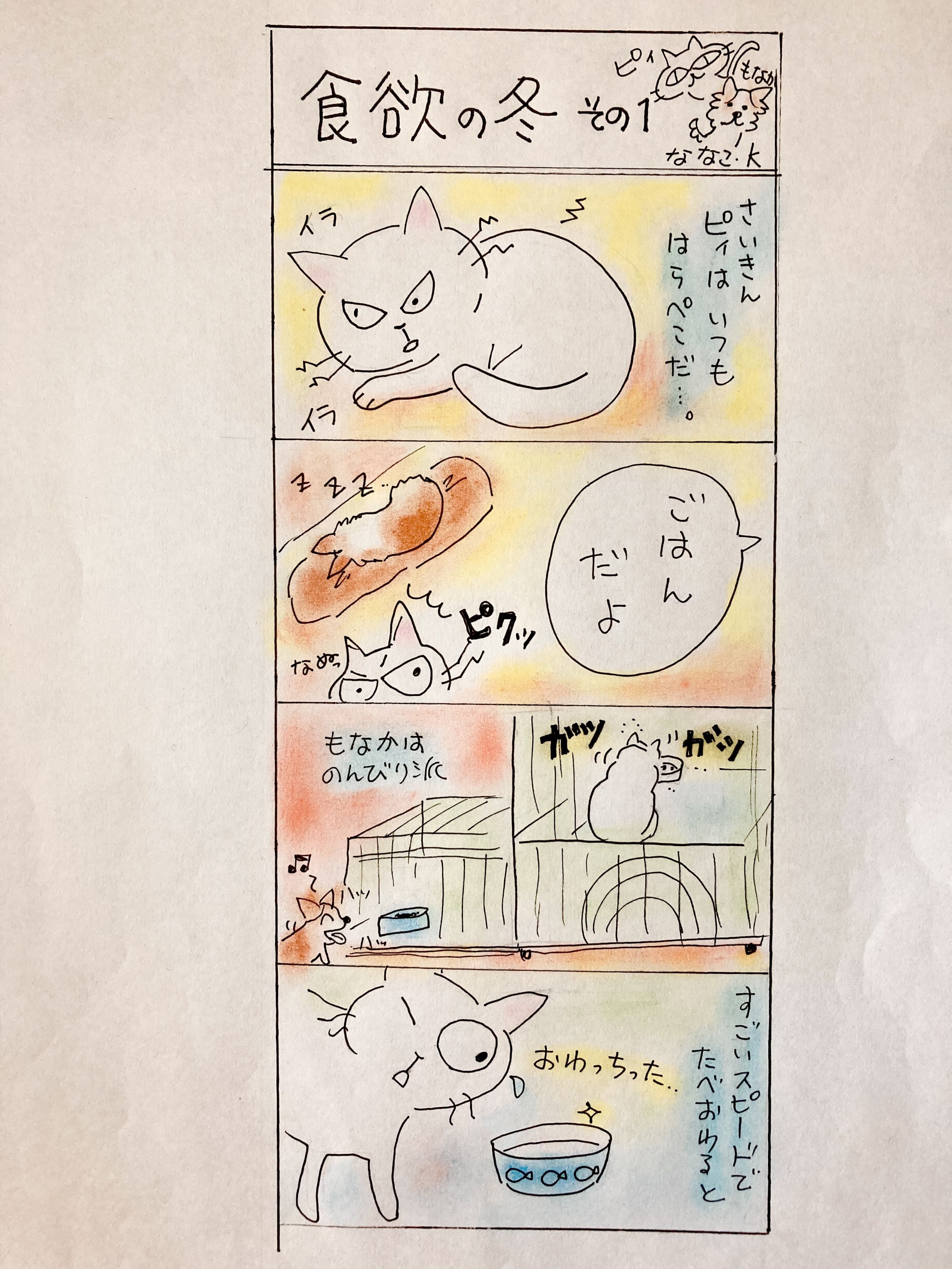 我が家の保護にゃん チワワん 漫画 Sorairo Note 我が家の保護にゃん チワワん 漫画 Sorairo Note