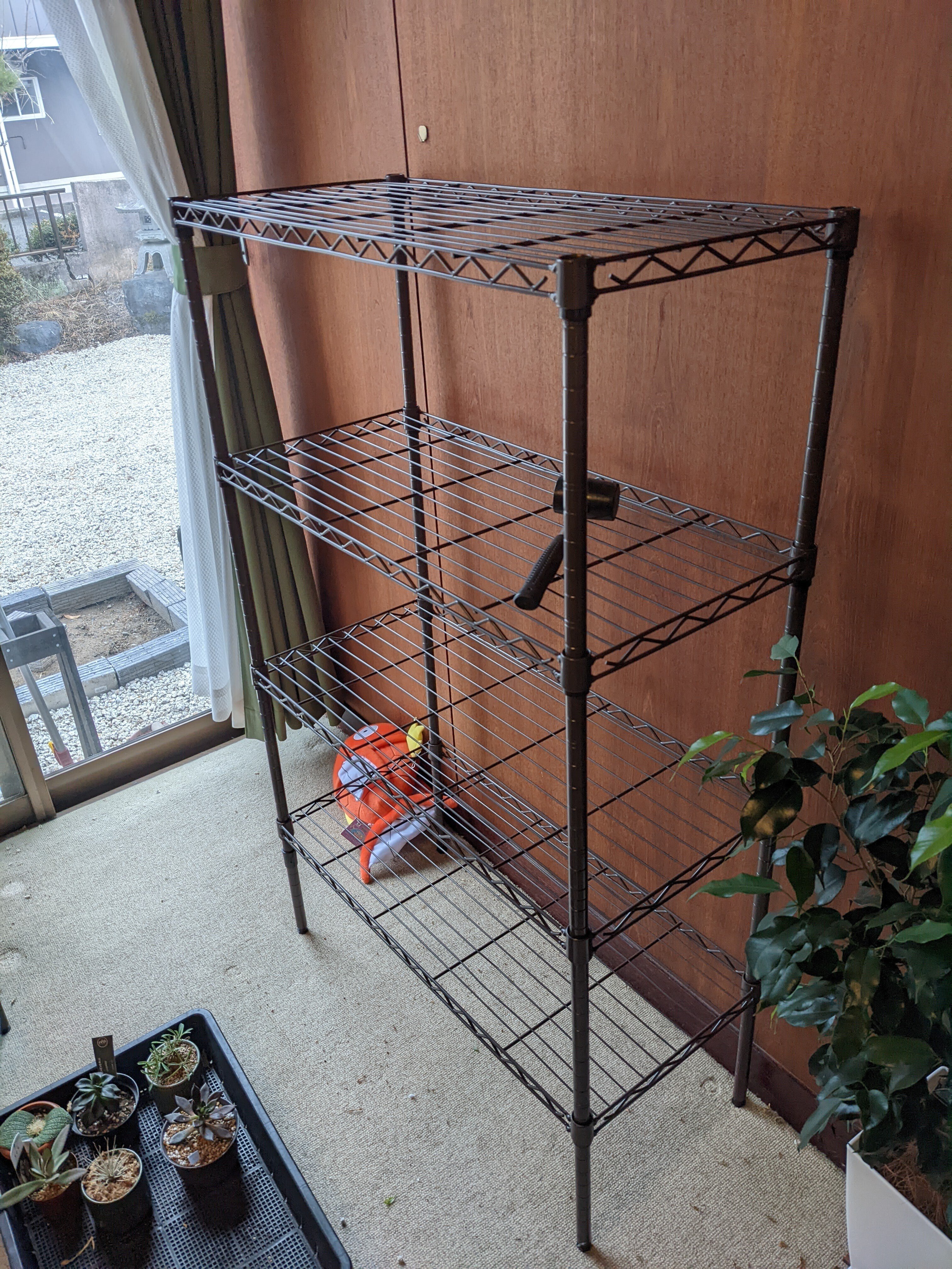 植物用ラックはアイリスオーヤマ一択。｜うめすけ / 多肉植物歴1年。