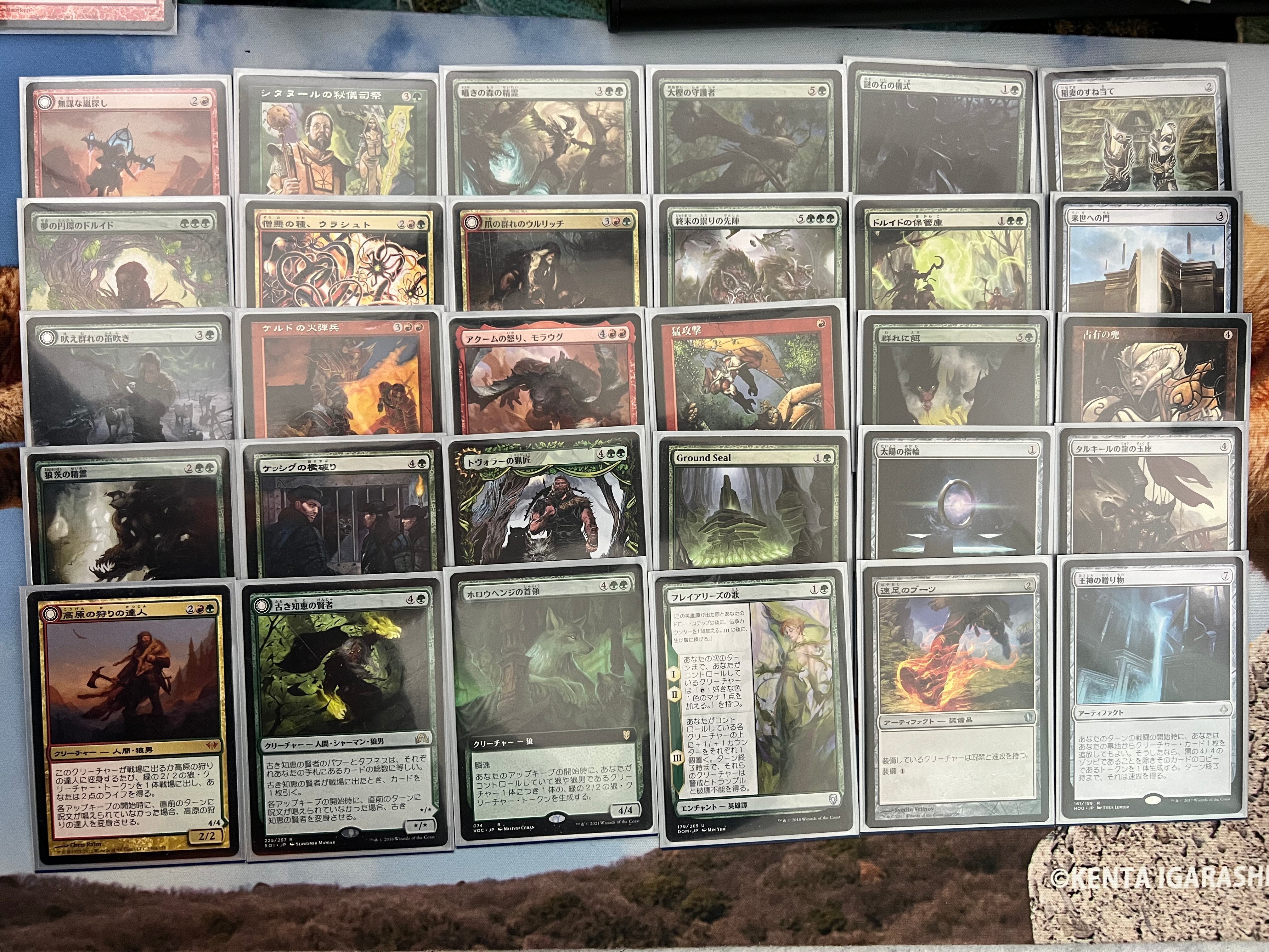 格安EDH】1万円EDH その4後編「 Tovolar, Dire Overlord / 不吉