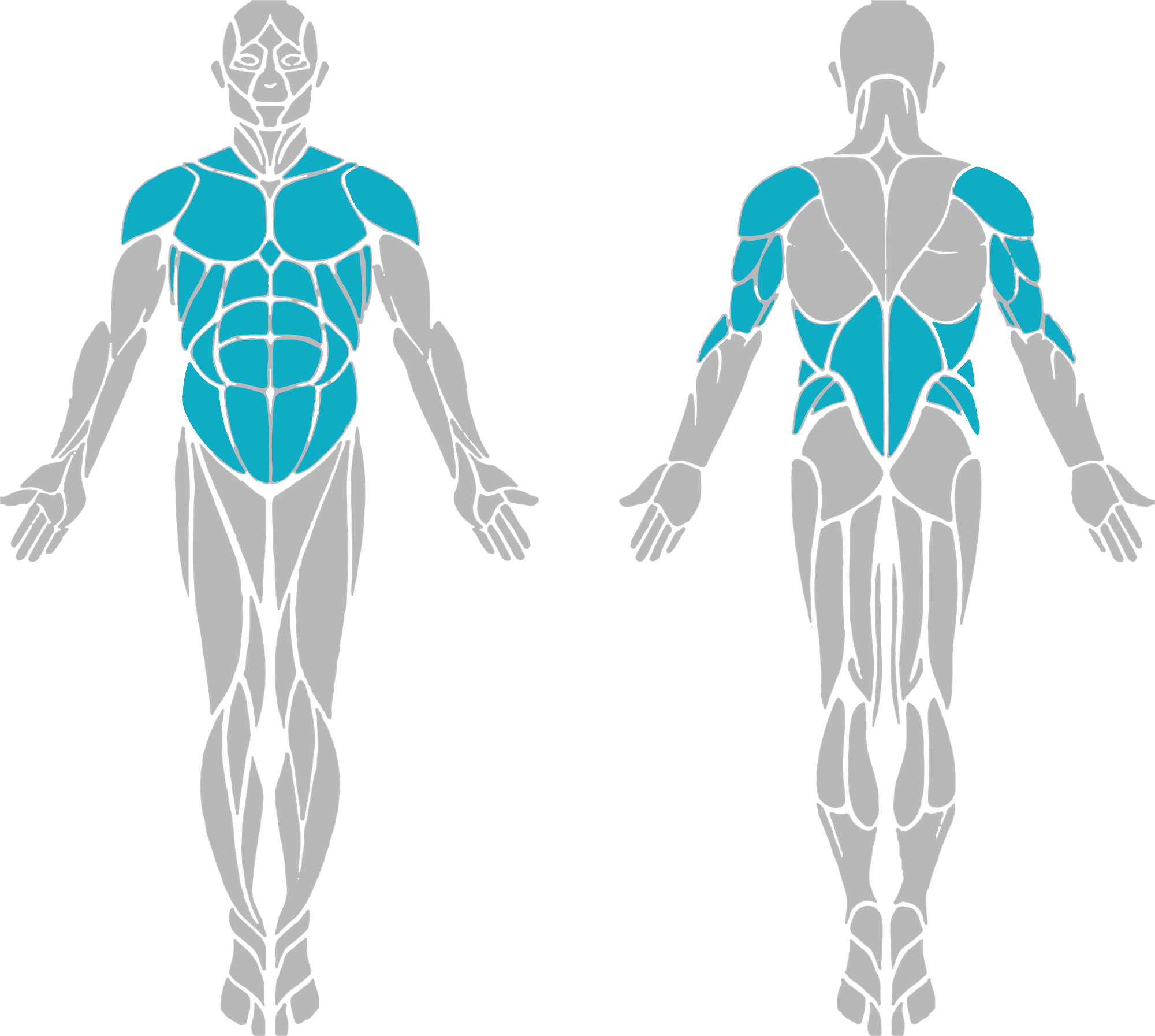 股関節痛の理学療法 股関節不安定性に対する評価とアプローチ 理学療法士による理学療法士のためのnote Note 股関節痛の理学療法 股関節不安定性に対する評価とアプローチ 理学療法士による理学療法士のためのnote Note