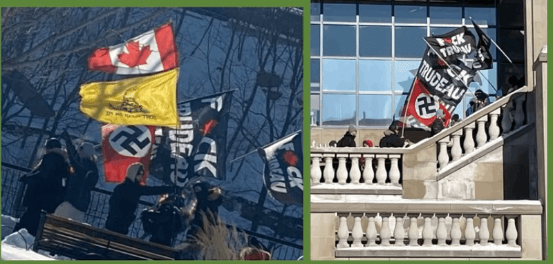 画像を拡大表示