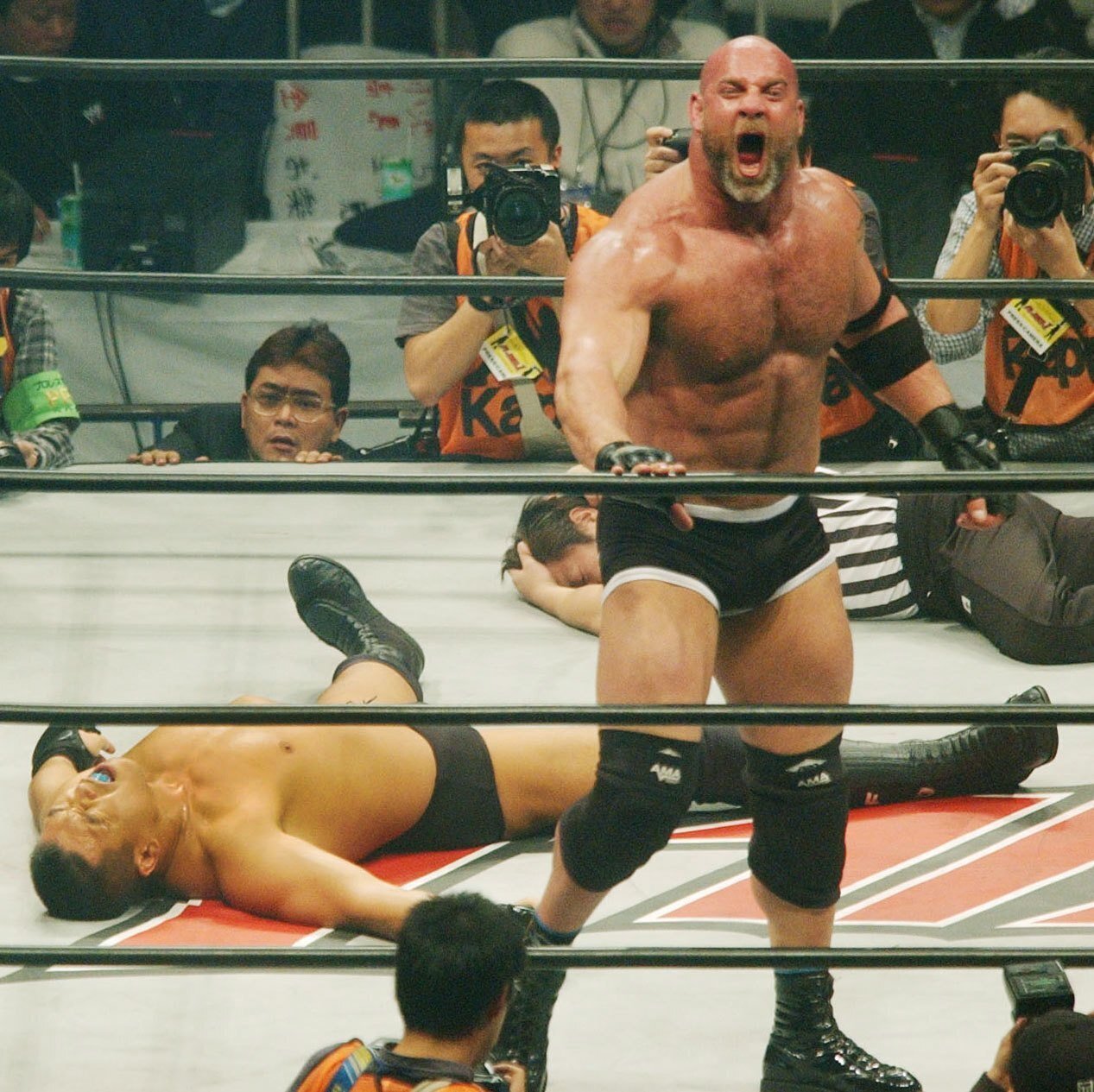 ハッスル ツアー2008 全3巻DVD 高田延彦 川田利明グレートムタ プロレス ハッスル ツアー2008 全3巻DVD 高田延彦 川田利明グレートムタ