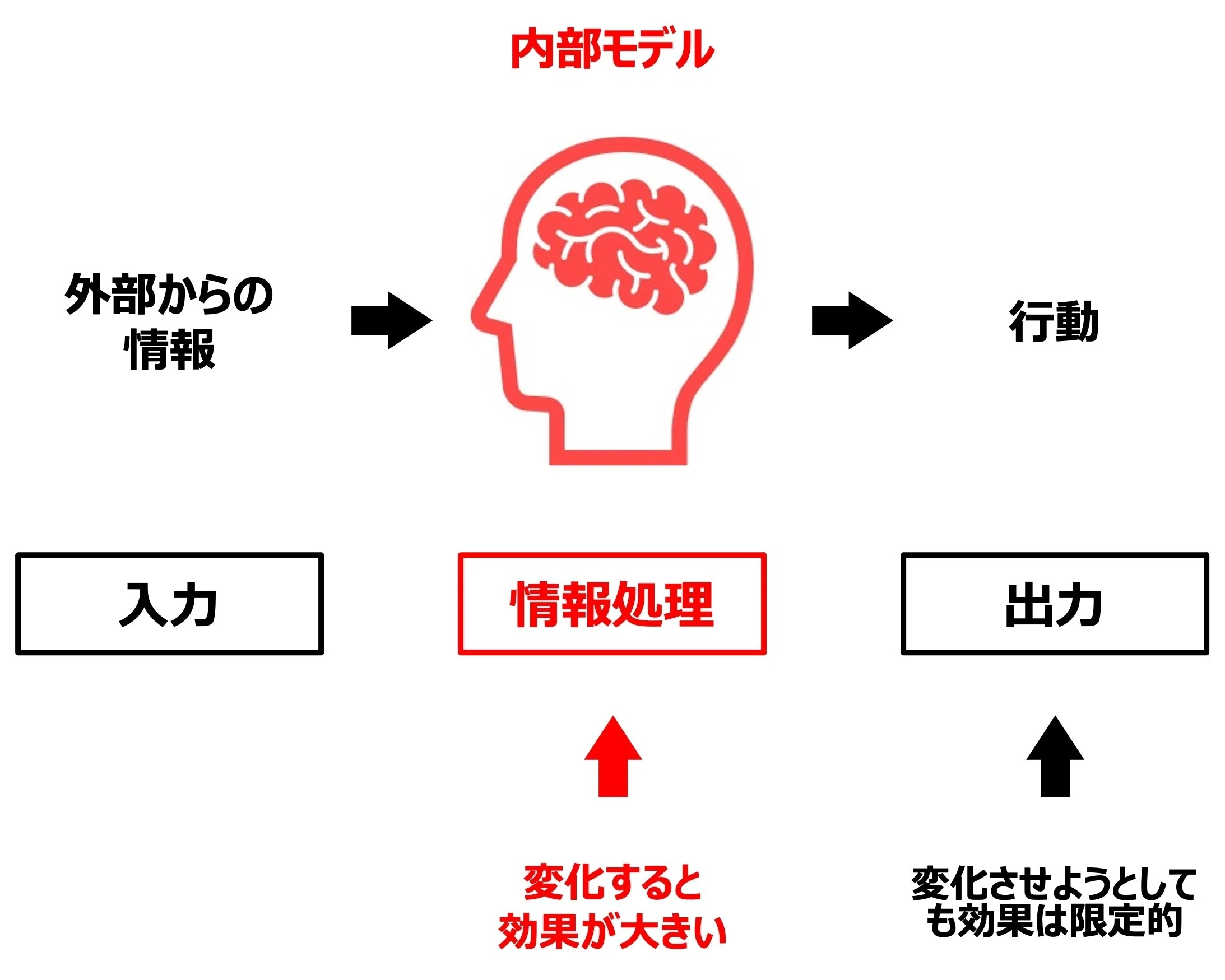 他のコーチングと一線を画する「認知科学コーチング」とは｜永江耕治