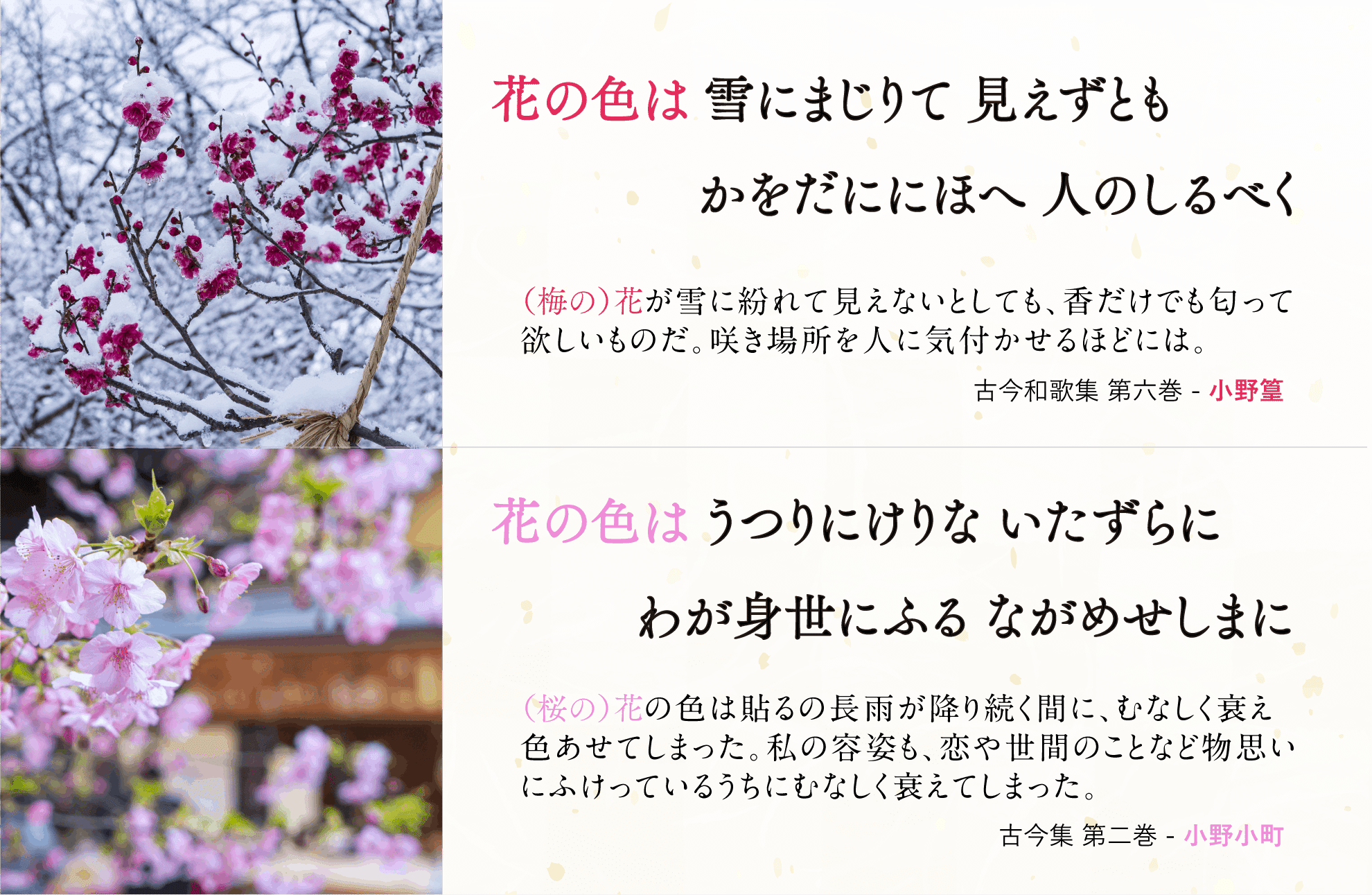 同じ 花の色は ではじまる和歌を通じた 小野小町と篁公の物語 小野照崎神社 Note