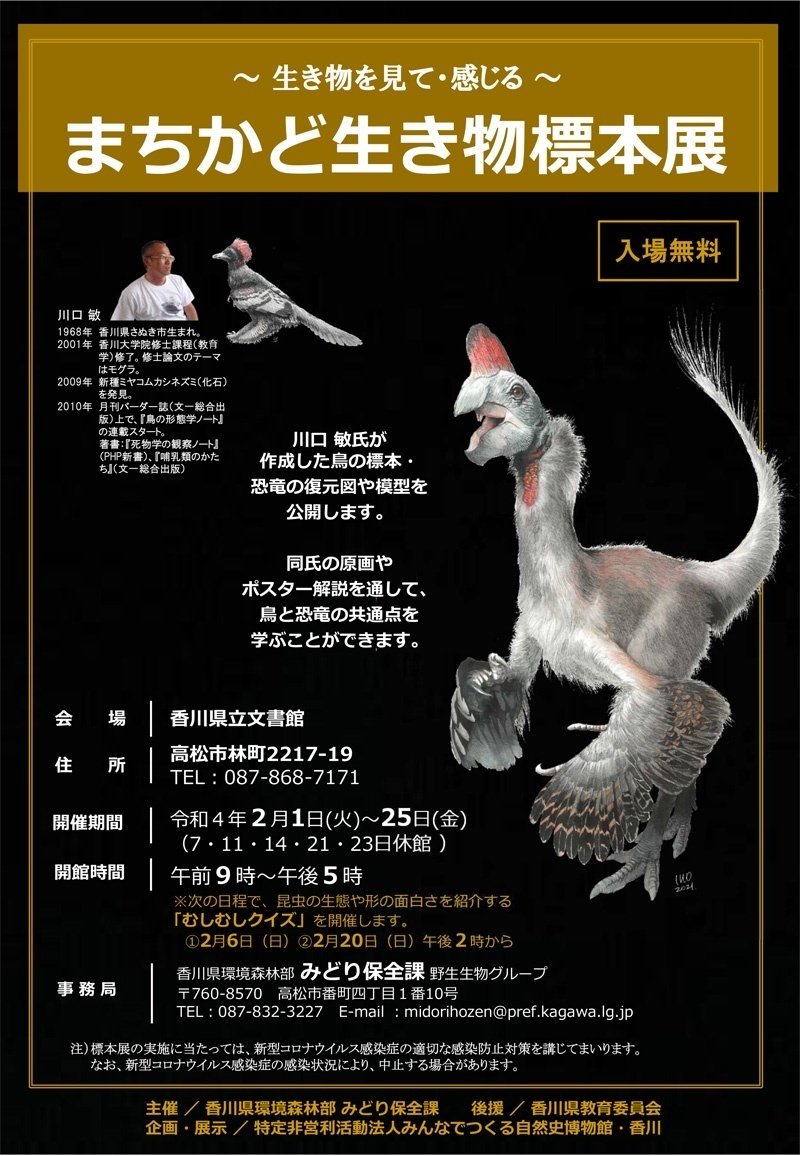 2月3日更新）まちかど生き物標本展｜ブンイチ（文一総合出版）
