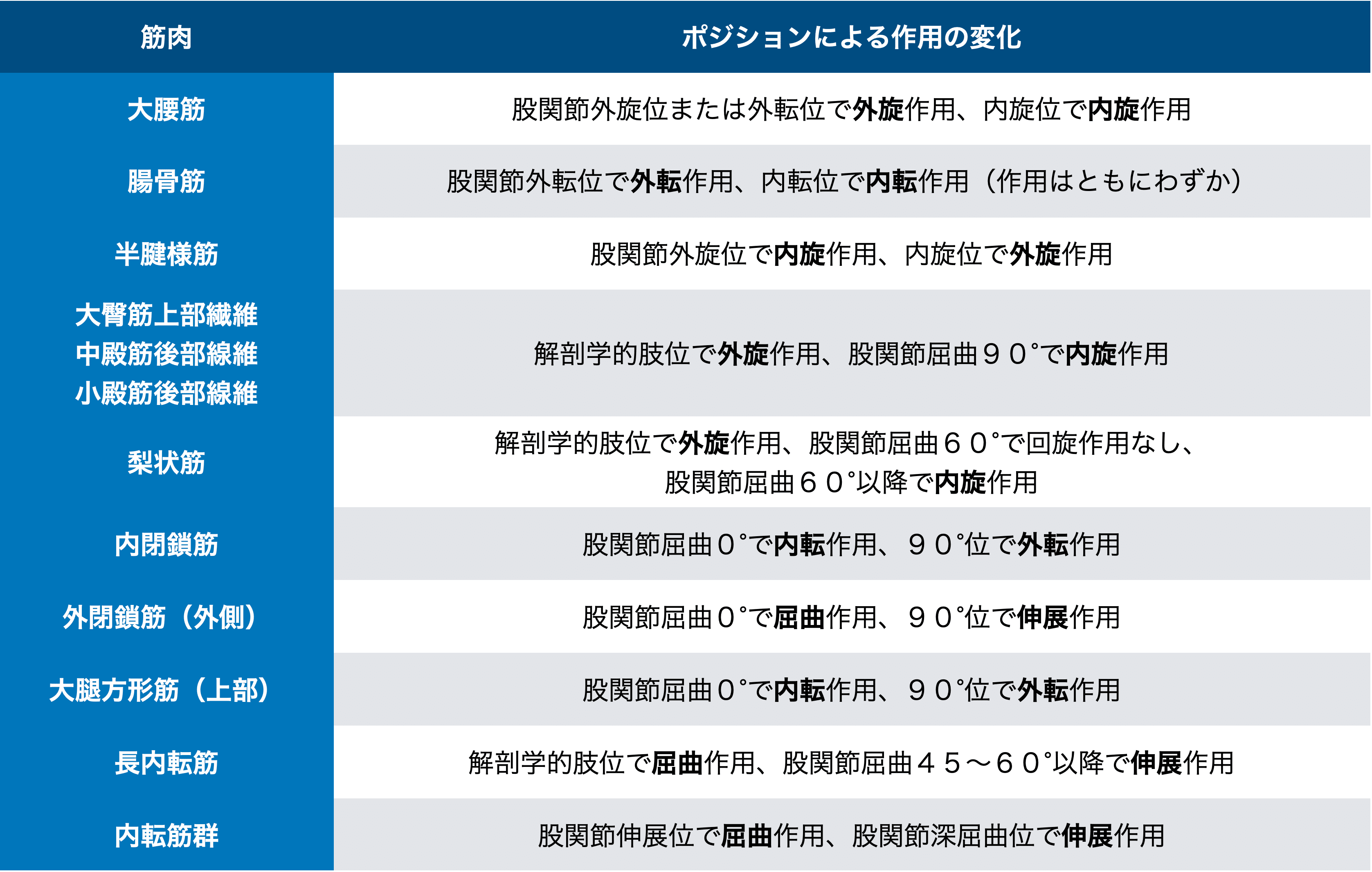 股関節痛の理学療法②〜股関節不安定性に対する評価とアプローチ