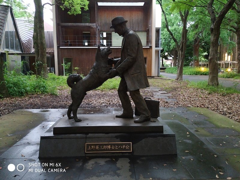 ニッポンの魅力発見の旅 秋田県：秋田犬・忠犬ハチ公を通して
