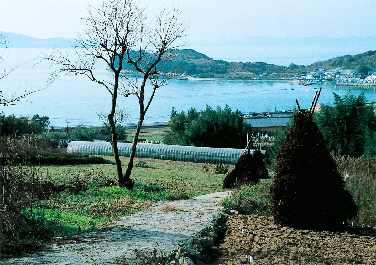 画像