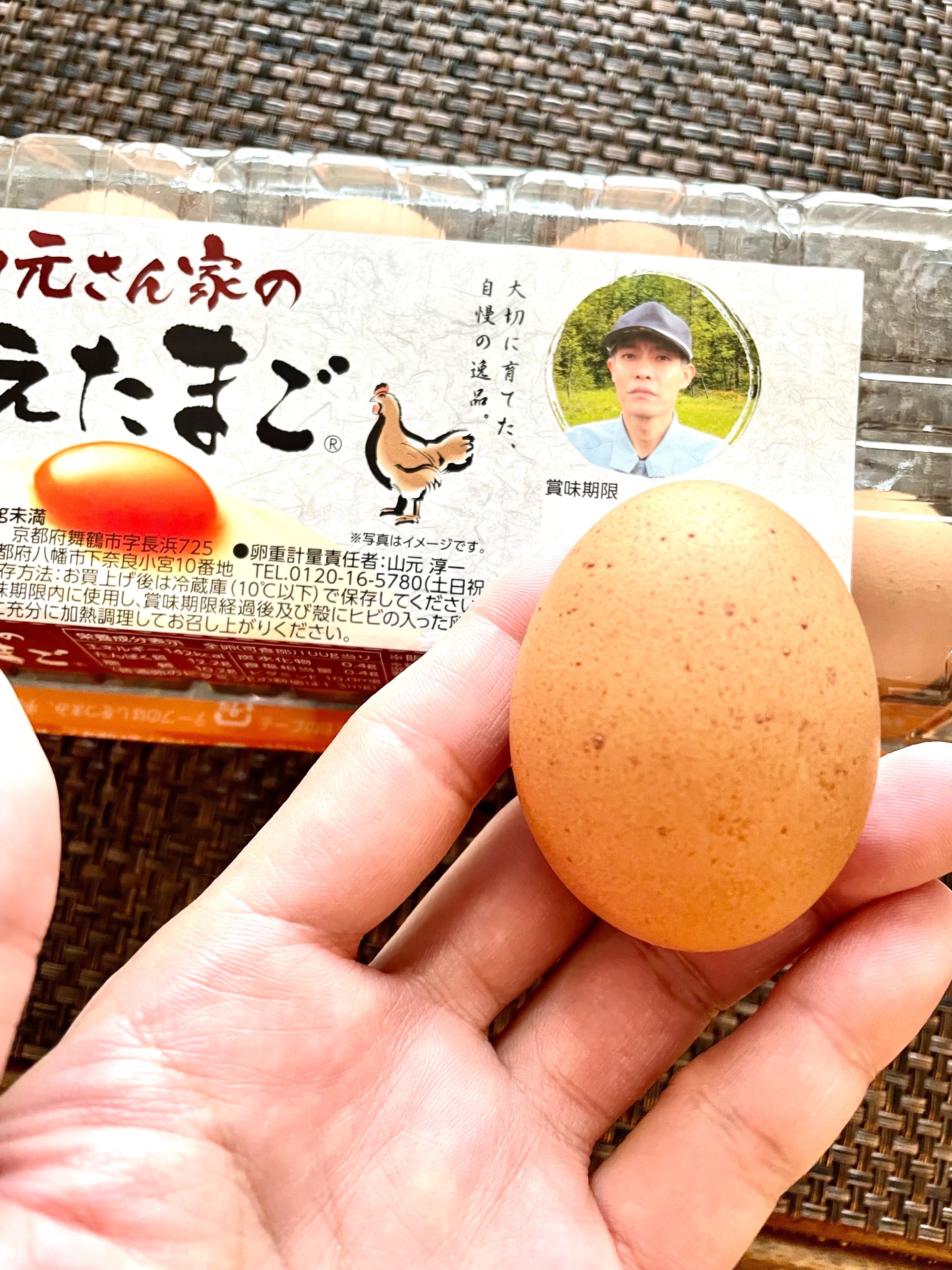 たまご たまごっち 【訳あり：箱つぶれ】たまごっちパラダイス