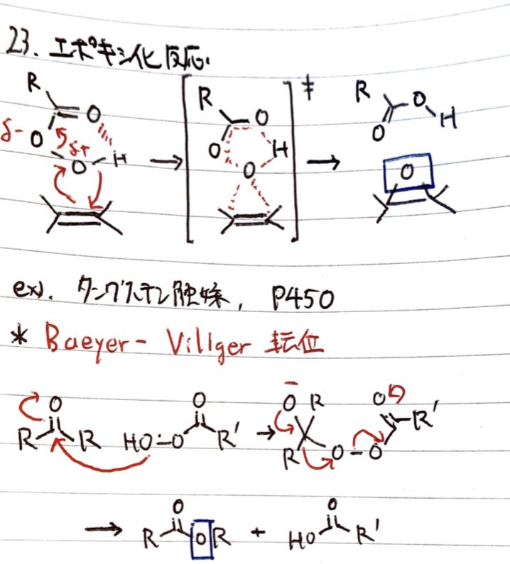 早起き有機化学#015｜鈴華書記