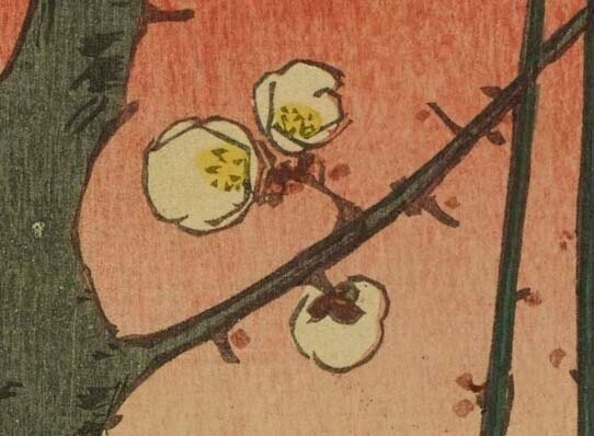 歌川広重の梅の浮世絵で春の訪れを感じてみた 太田記念美術館