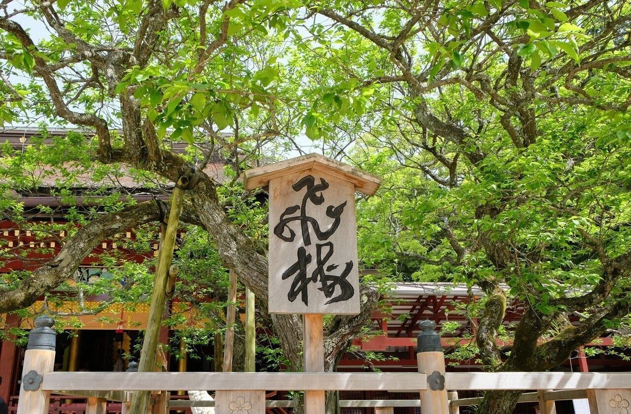 菅原道真公の、5歳で詠んだ歌が“エモ”過ぎた｜小野照崎神社
