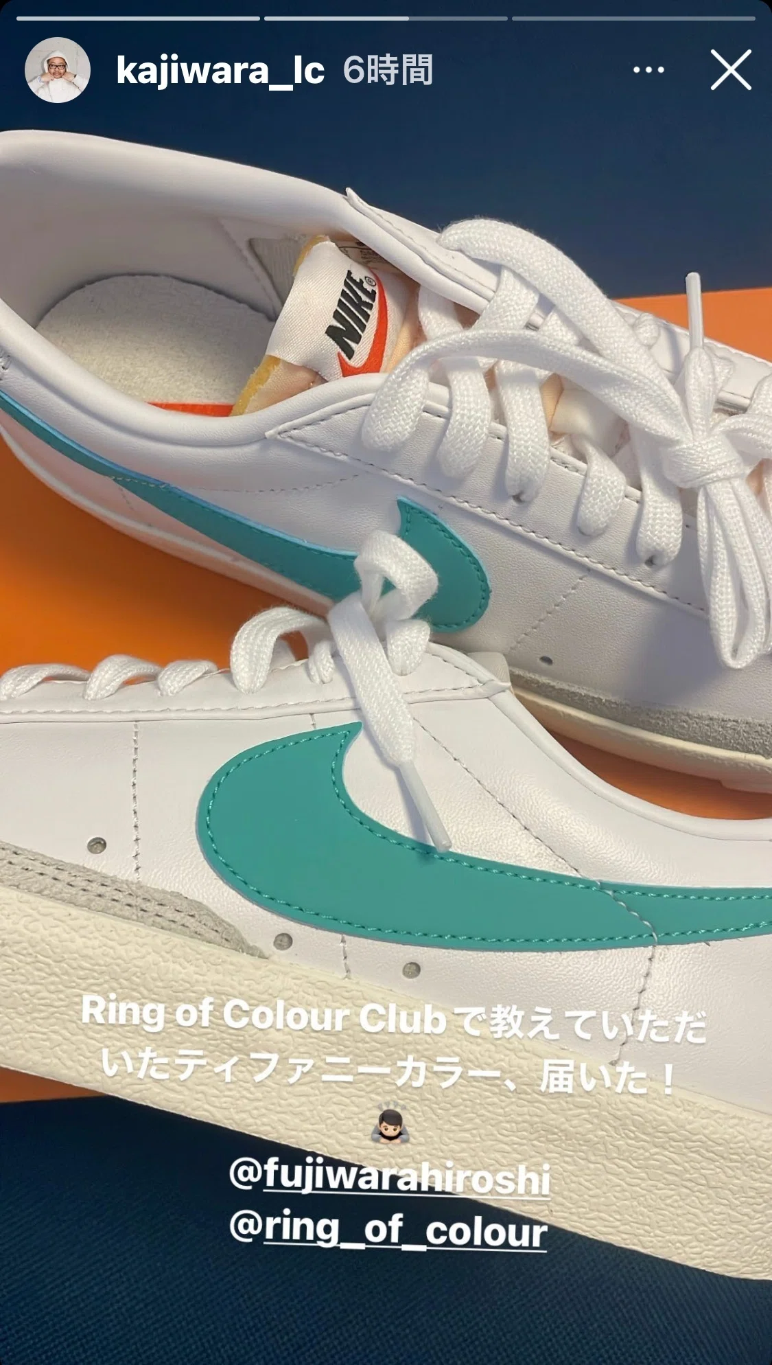 NIKE ブレーザーLO 