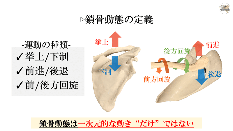 画像を拡大表示