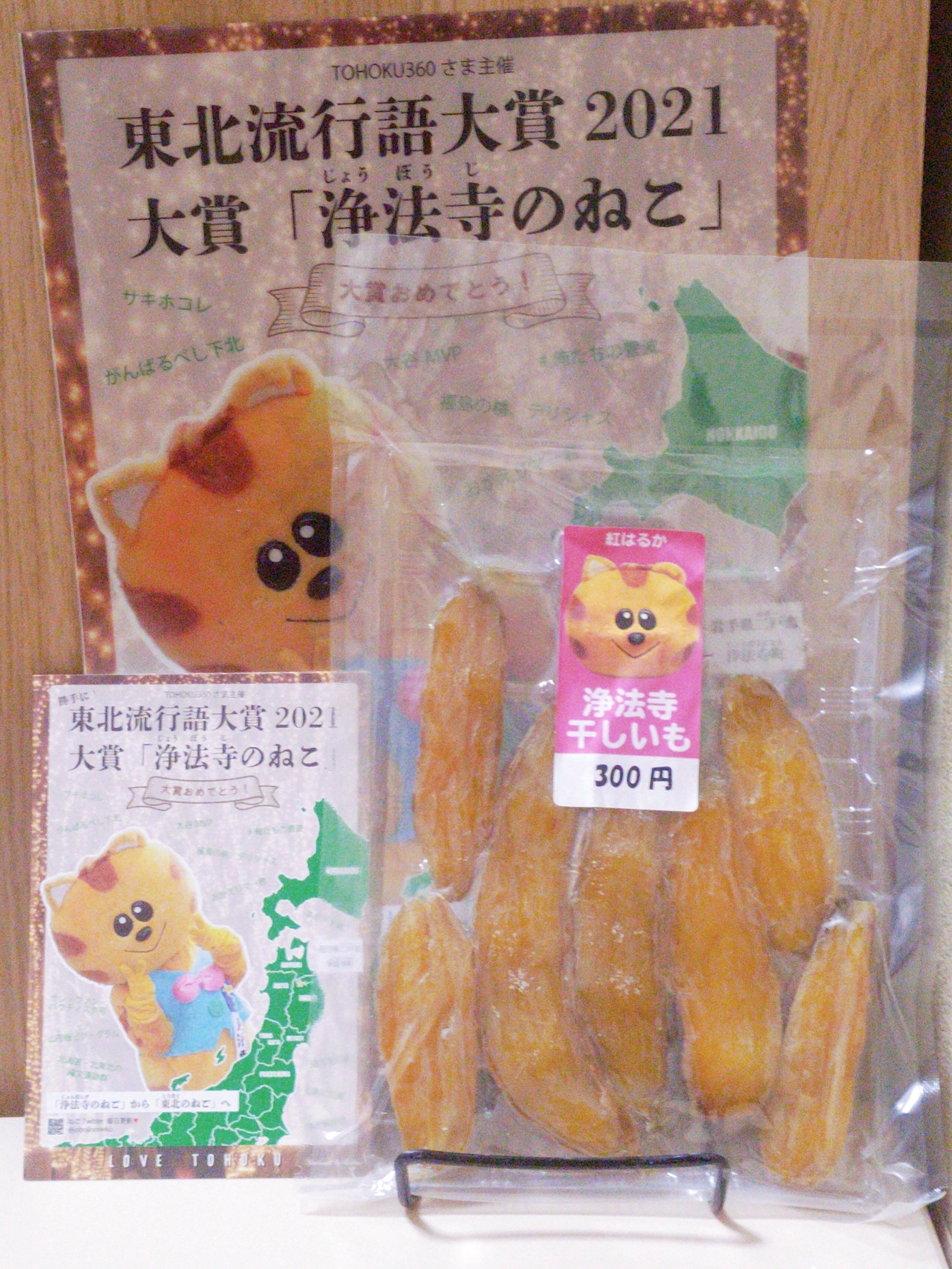 猫の恩返し 使用済みチケット 執筆後の話】これぞ｢猫の恩返し｣～書くことで繋がった縁｜鈴木千絵