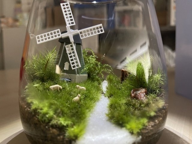 苔の育て方 室内で苔を増やしたい インテリアとして楽しみたい方に ふりこけサッサ Note