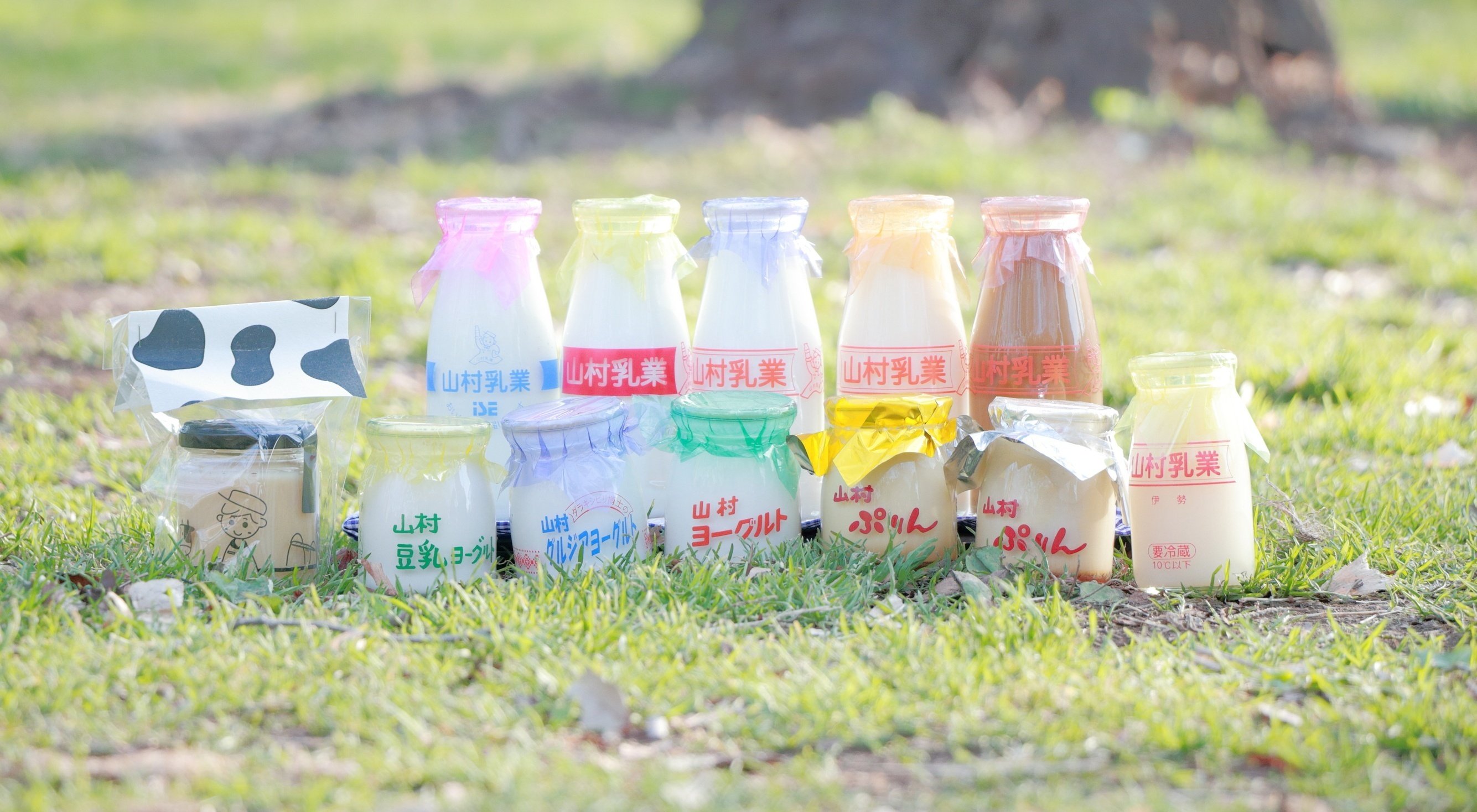 牛乳キャップ☆12枚☆牛乳フタ☆昭和レトロ☆マニア☆コレクター