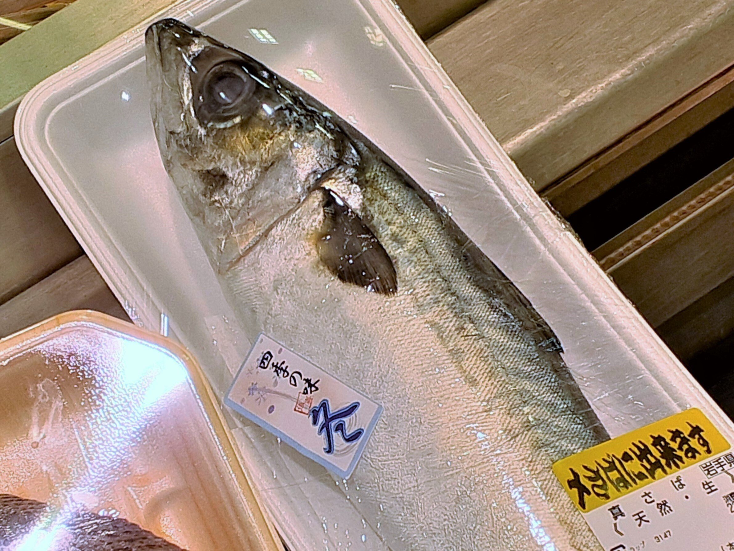 レシピ しめ鯖 今が旬 鯖を美味しく食べましょう 食の工房オフィスアルベロ イタリア料理教室 In 神戸 Note