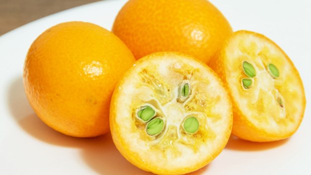 じつは柑橘じゃない 金柑 きんかん のドライフルーツと金柑パウダーの作り方 ラボネクト株式会社 フードドライヤー 製粉機 ミル など食品加工器具取扱 Note じつは柑橘じゃない 金柑 きんかん のドライフルーツと金柑パウダーの作り方 ラボネクト株式会社 フードドライヤー 製粉機 ミル など食品加工器具取扱 Note