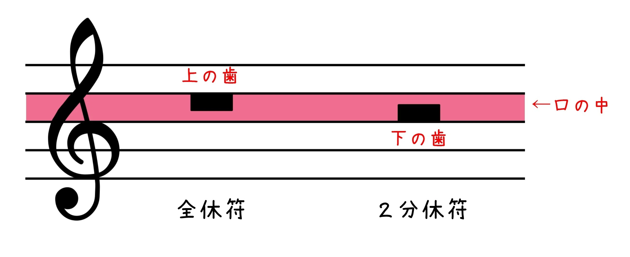 休符の 名前 と 長さ を覚えよう 青山かおる 音楽絵本 Note 休符の 名前 と 長さ を覚えよう 青山かおる 音楽絵本 Note