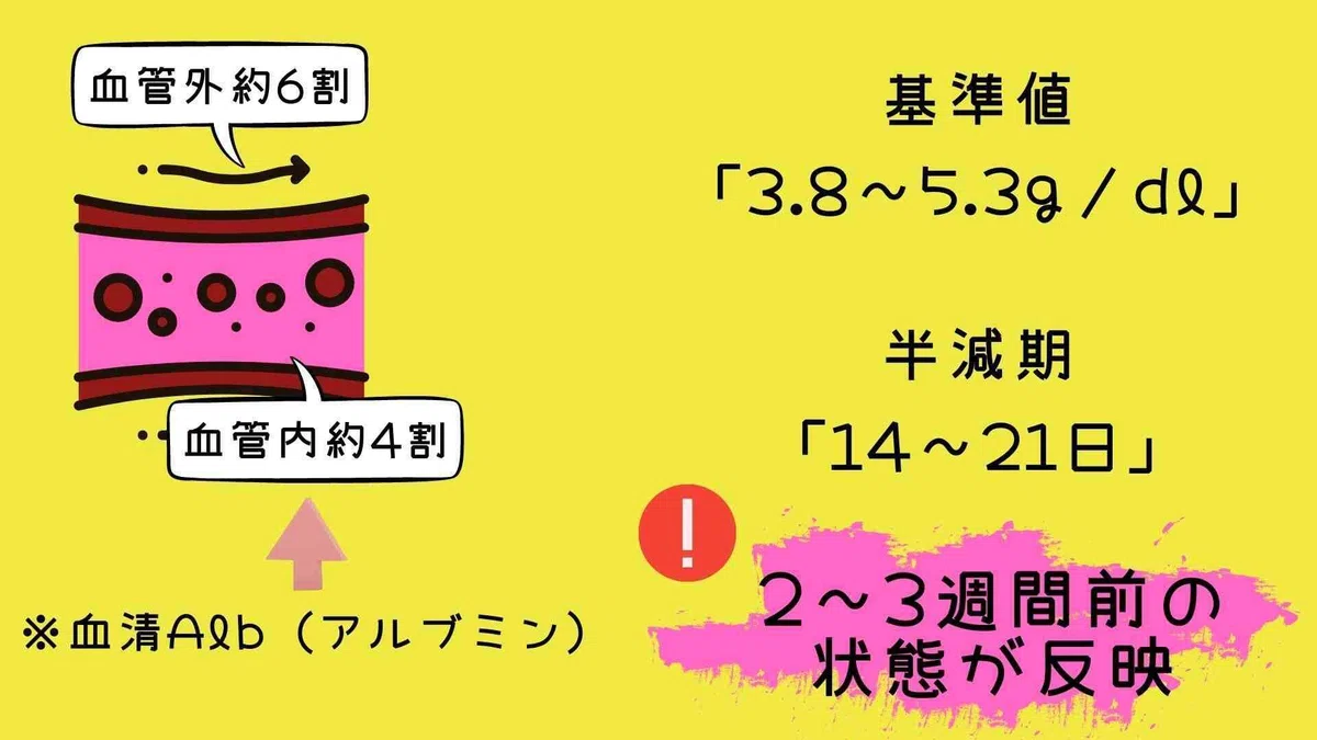 『Alb(アルブミン)=低栄養の指標』その考えは危険かもしれません…|脳外ブログ 臨床BATON
