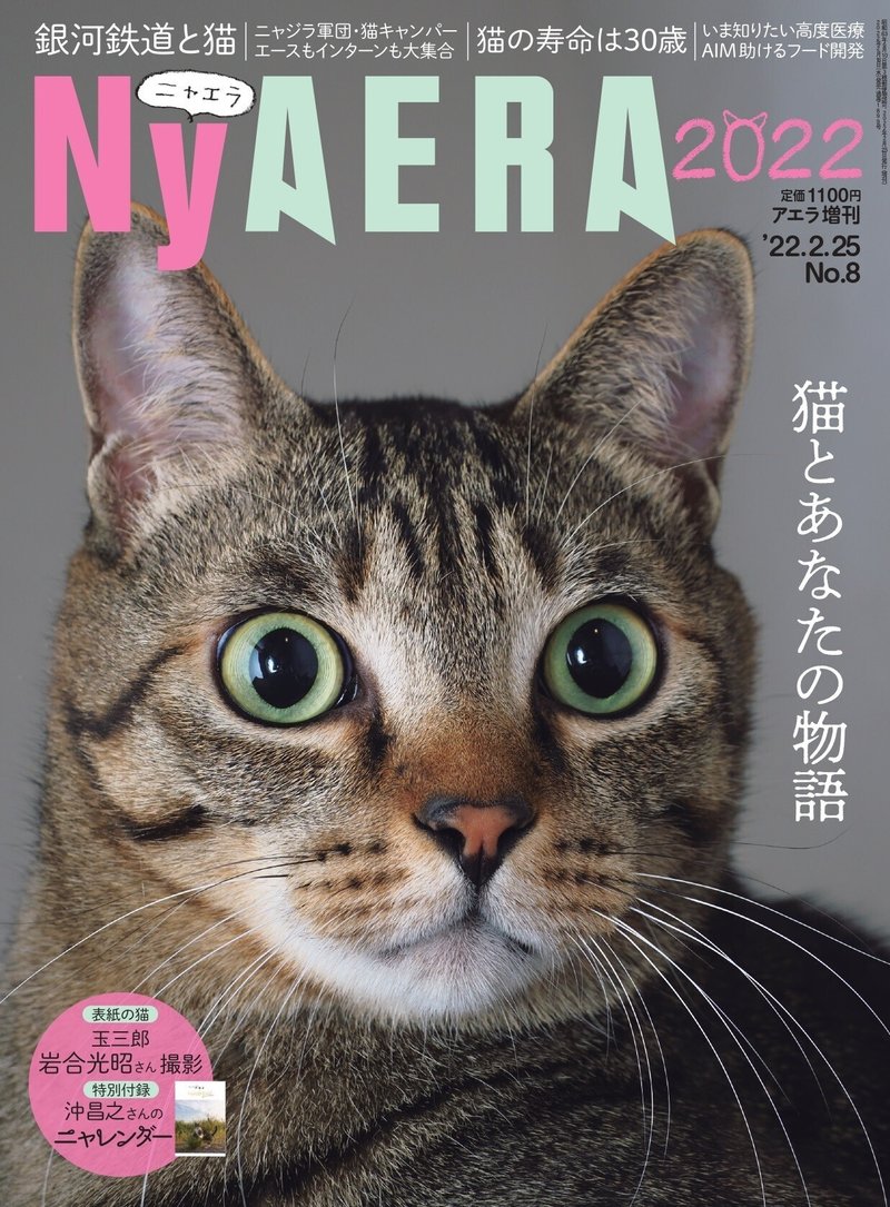 NyAERA2022