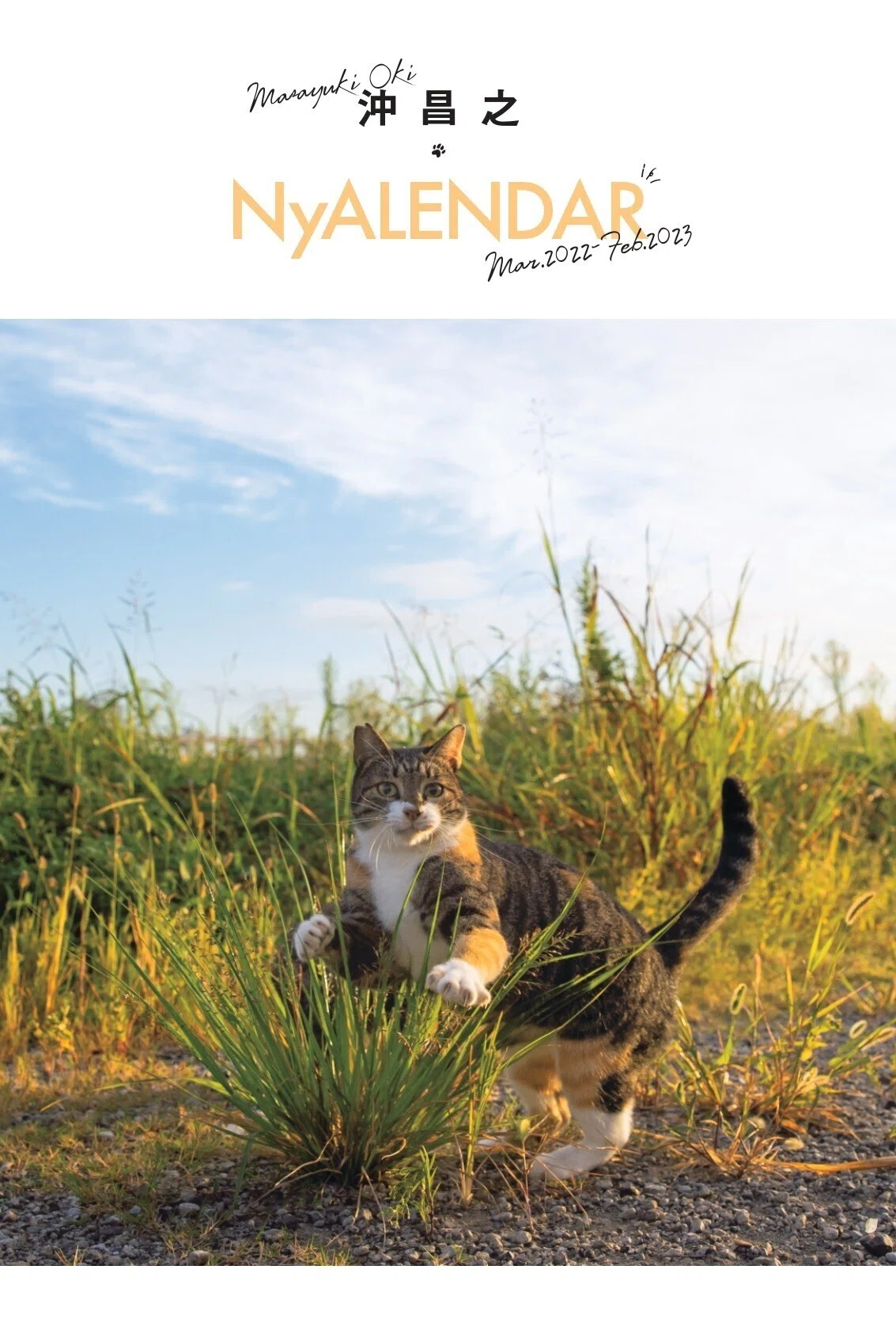今年も全力でやるニャ！「NyAERA2022」が2月16日発売｜朝日新聞出版さんぽ