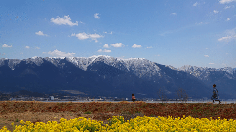 こうなっちゃうんやもんなぁ。Photoshopすごい。場所は、大津市から見た名の花畑と比良山脈です^^