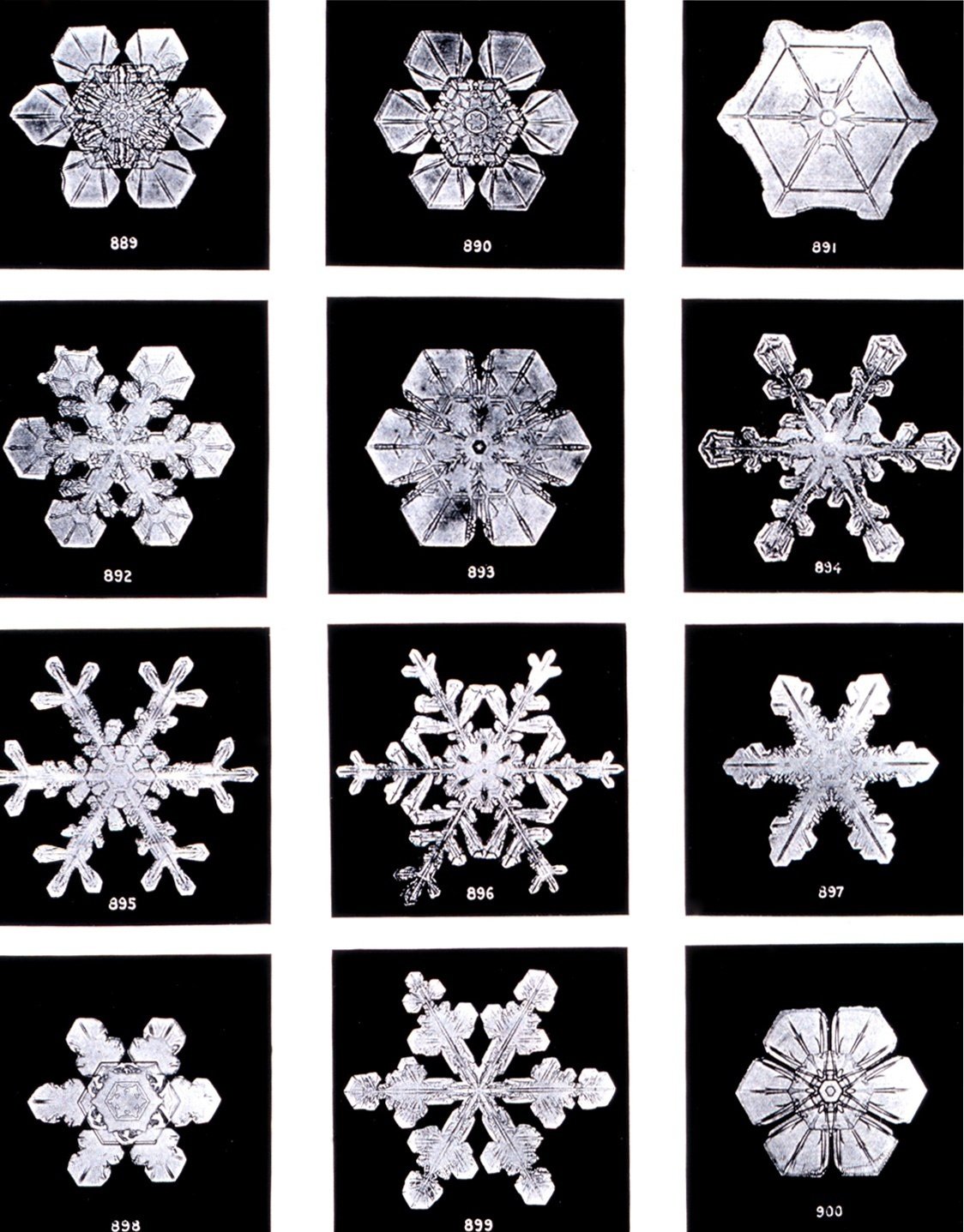 雪の結晶はなぜ六角形なのか ベナー Note