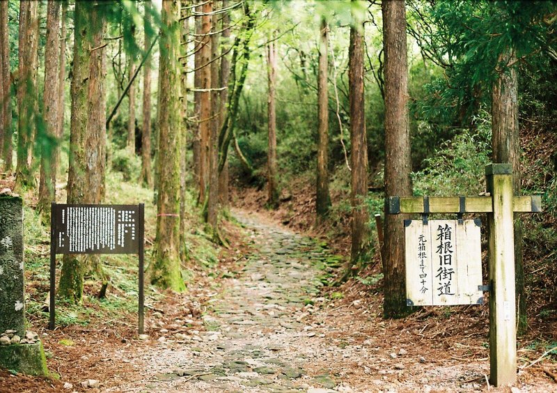 関東の学生諸君、箱根にドライブもいいが箱根旧道を歩いて箱根を満喫するのもおすすめじゃぞ……