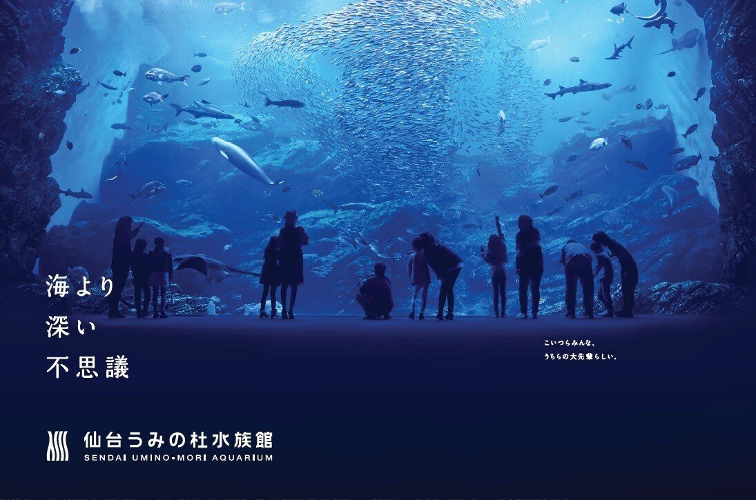 初投稿】仙台うみの杜水族館 note 開設いたしました!|仙台うみ 初投稿】仙台うみの杜水族館 note 開設いたしました!|仙台うみ