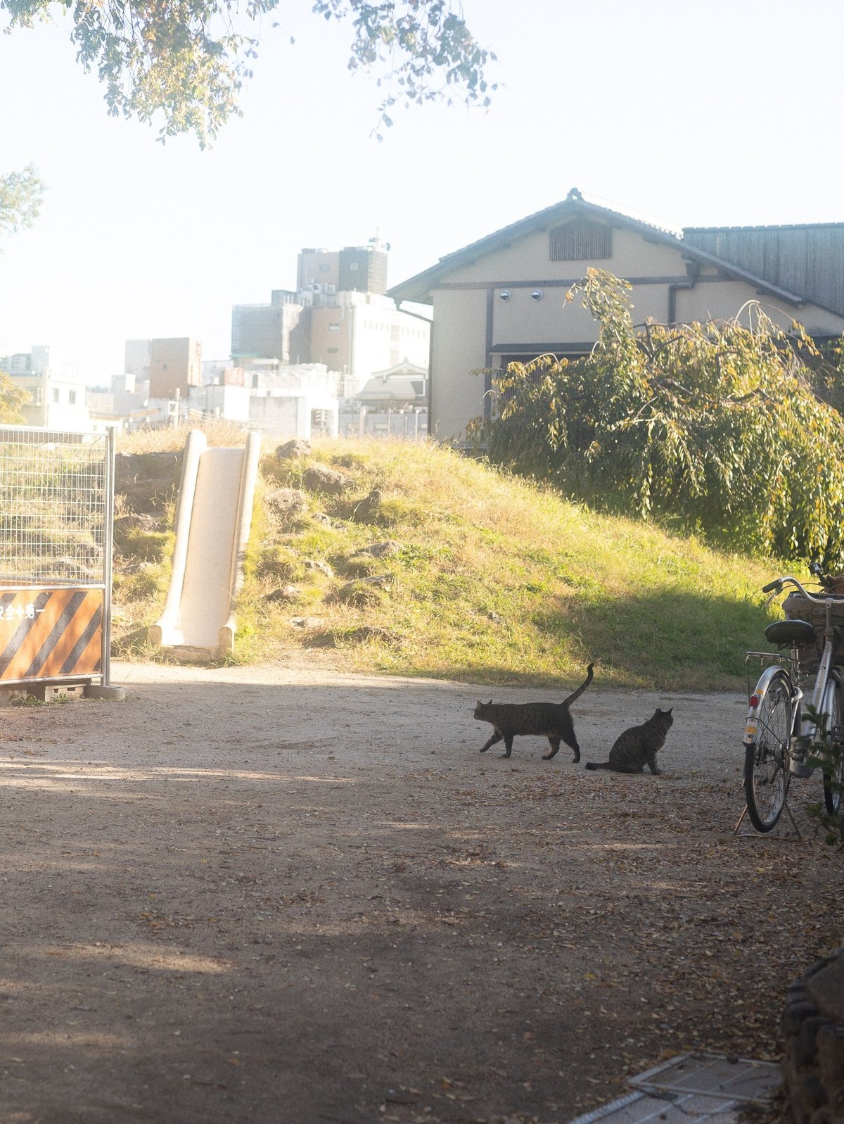 日が差す滑り台の下に猫が2匹