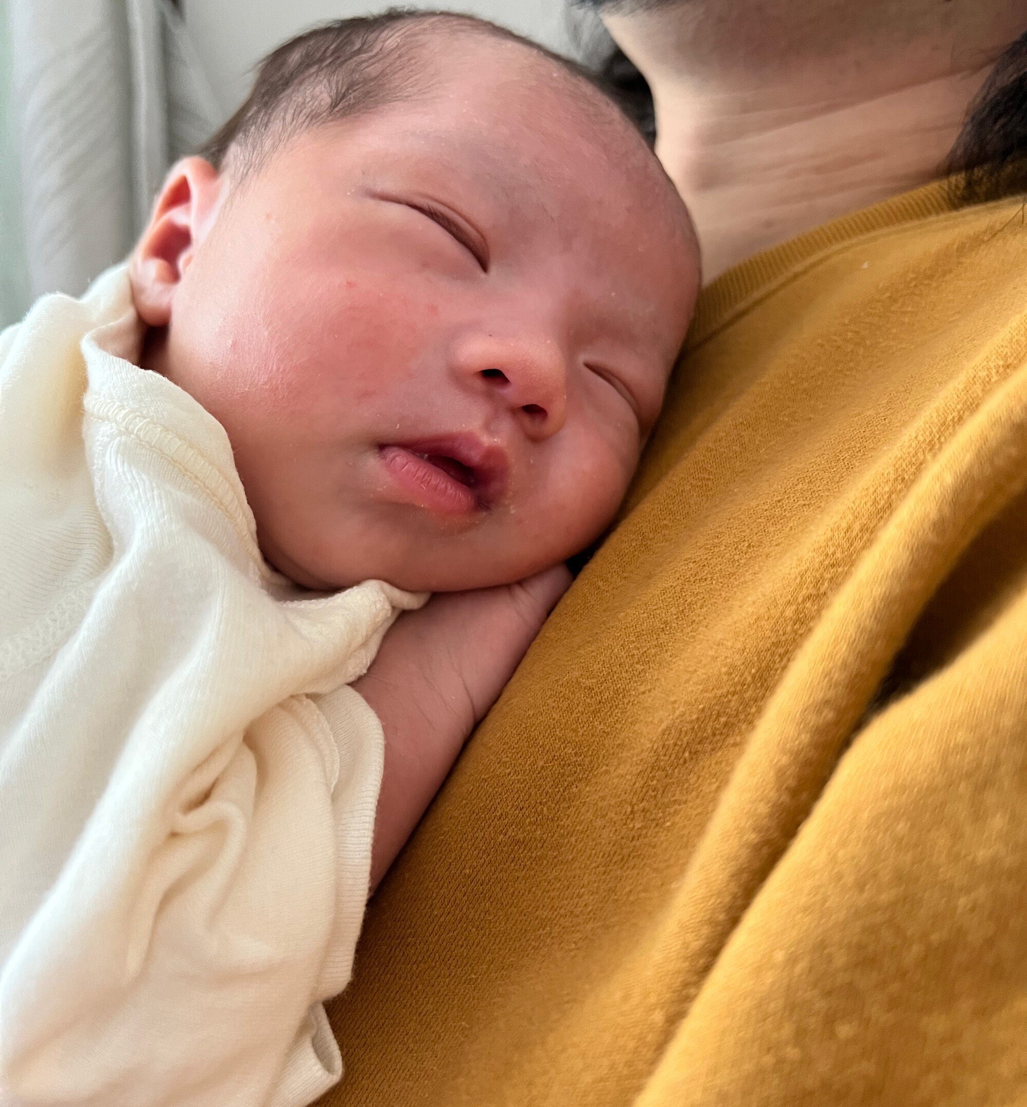 育児日記4 生後1ヶ月の赤ちゃんの様子 Snjssk Note