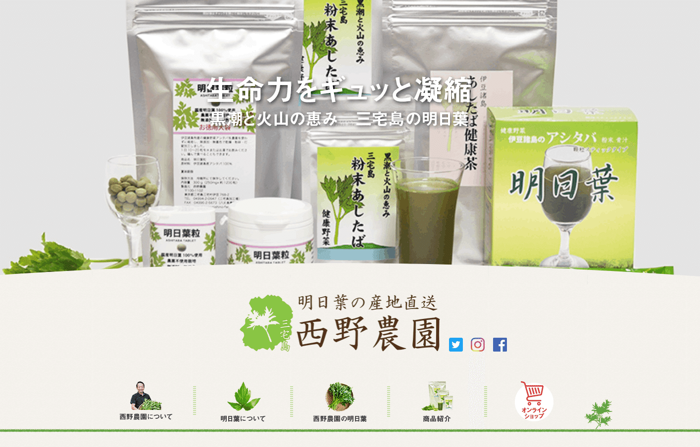 セネカ哲学全集 1〜6 月報付き セネカ哲学全集1～6巻 6冊