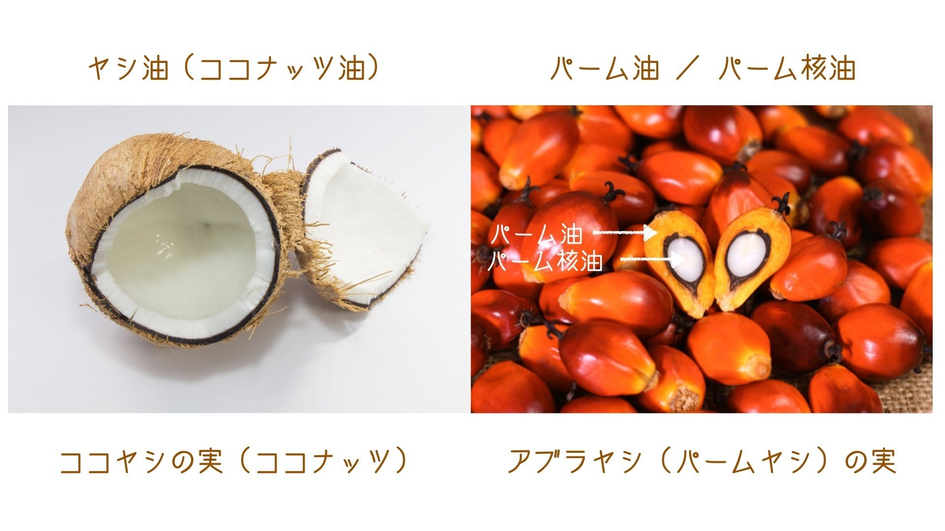 トランス脂肪酸の危険性を訴え過ぎて より危険なパーム油に置き換わっている件 自然食料理人 佃 隆志 Note トランス脂肪酸の危険性を訴え過ぎて より危険なパーム油に置き換わっている件 自然食料理人 佃 隆志 Note