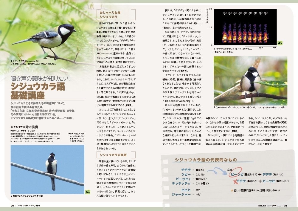 Birder3月号の見どころ ブンイチ 文一総合出版 Note