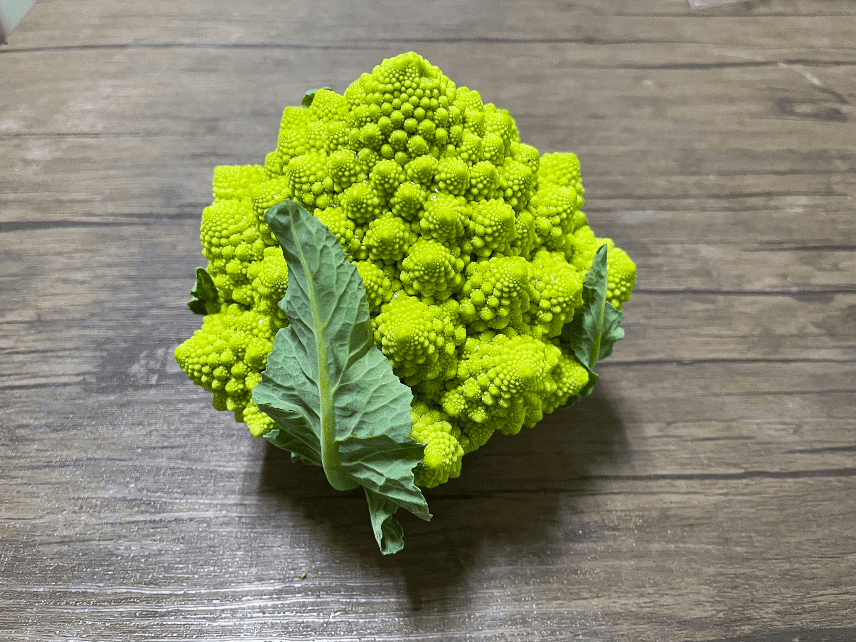 森の国俳句ウォーク 第73回春は名ばかりというけれども春先の気配を感じる虹の森公園かごもり市場からお届け 川嶋ぱんだ Re Dot Note 森の国俳句ウォーク 第73回春は名ばかりというけれども春先の気配を感じる虹の森公園かごもり市場からお届け 川嶋ぱんだ Re Dot Note