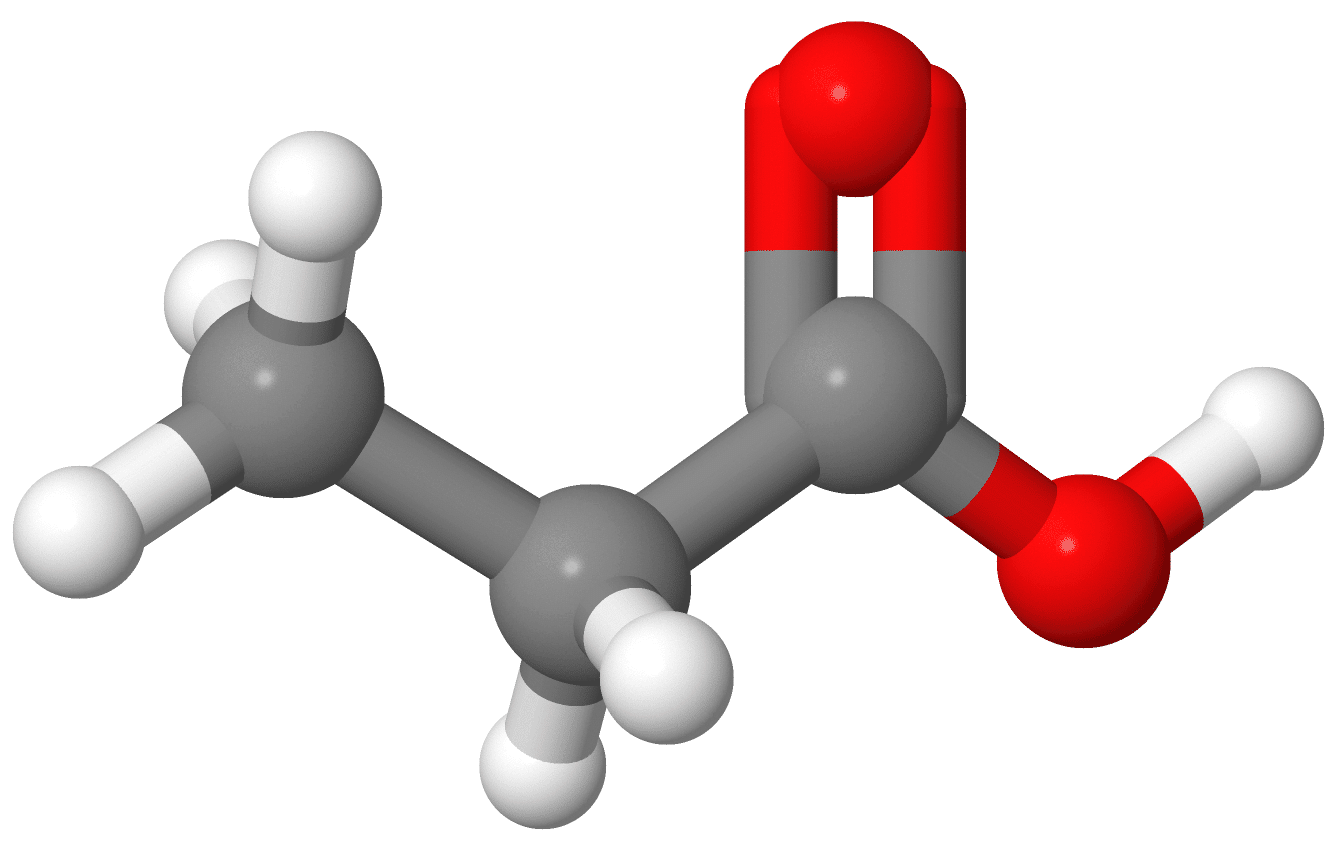 プロピオン酸|野口 大介(のぐち だいすけ)