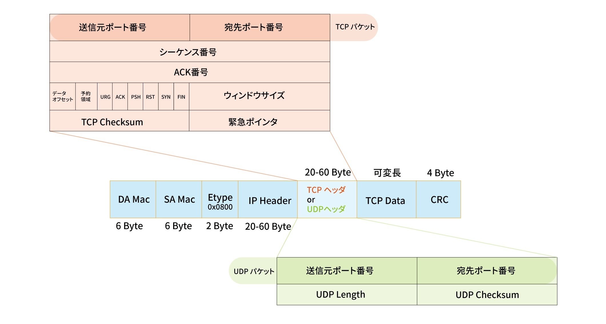 UDP様 確認用 専用 UDPとTCP、構造・仕組みの違いを解説｜FS ジャパン