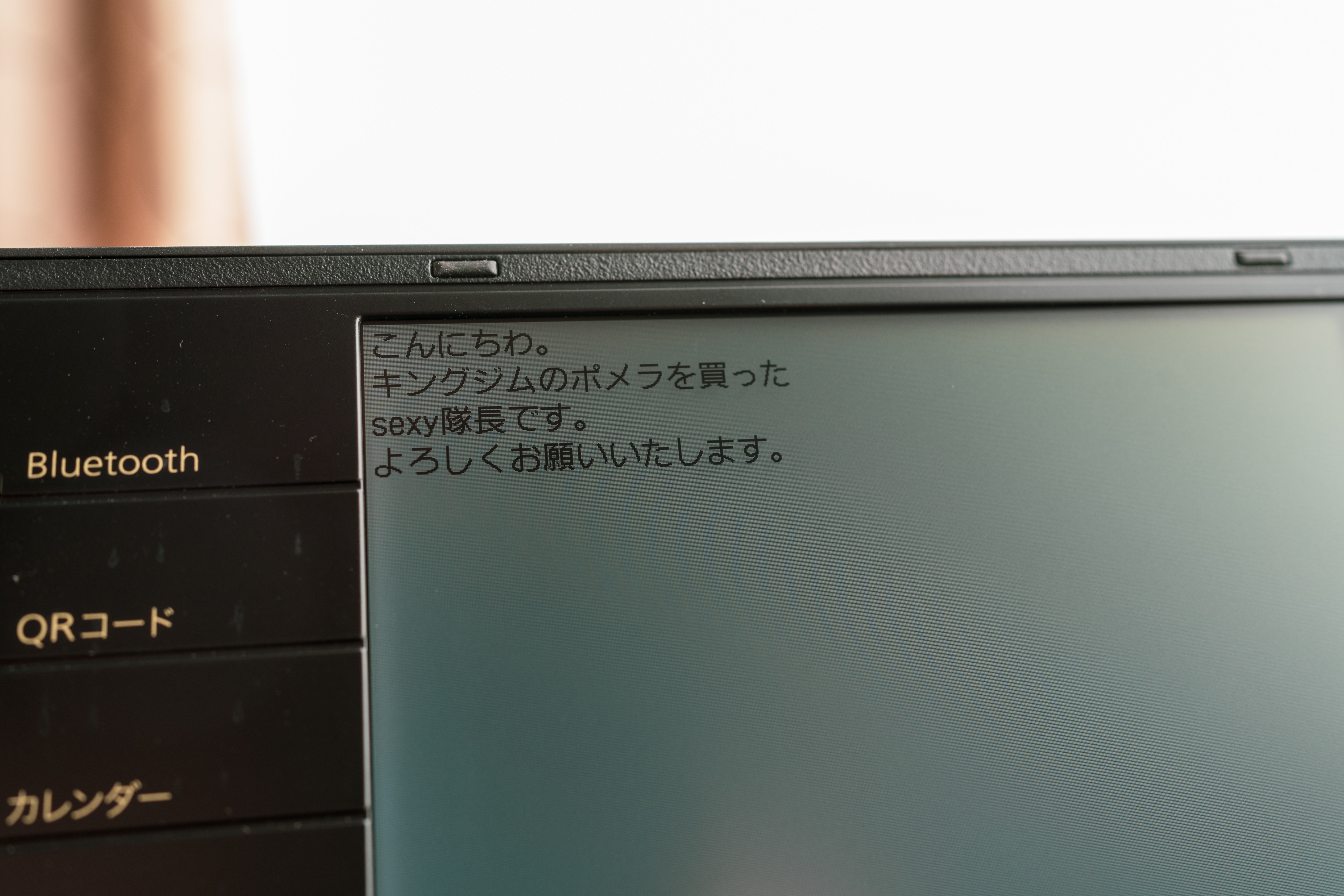 但書：ポメラ DM100，エネループ，SDカード【領収書は白紙で。】｜born