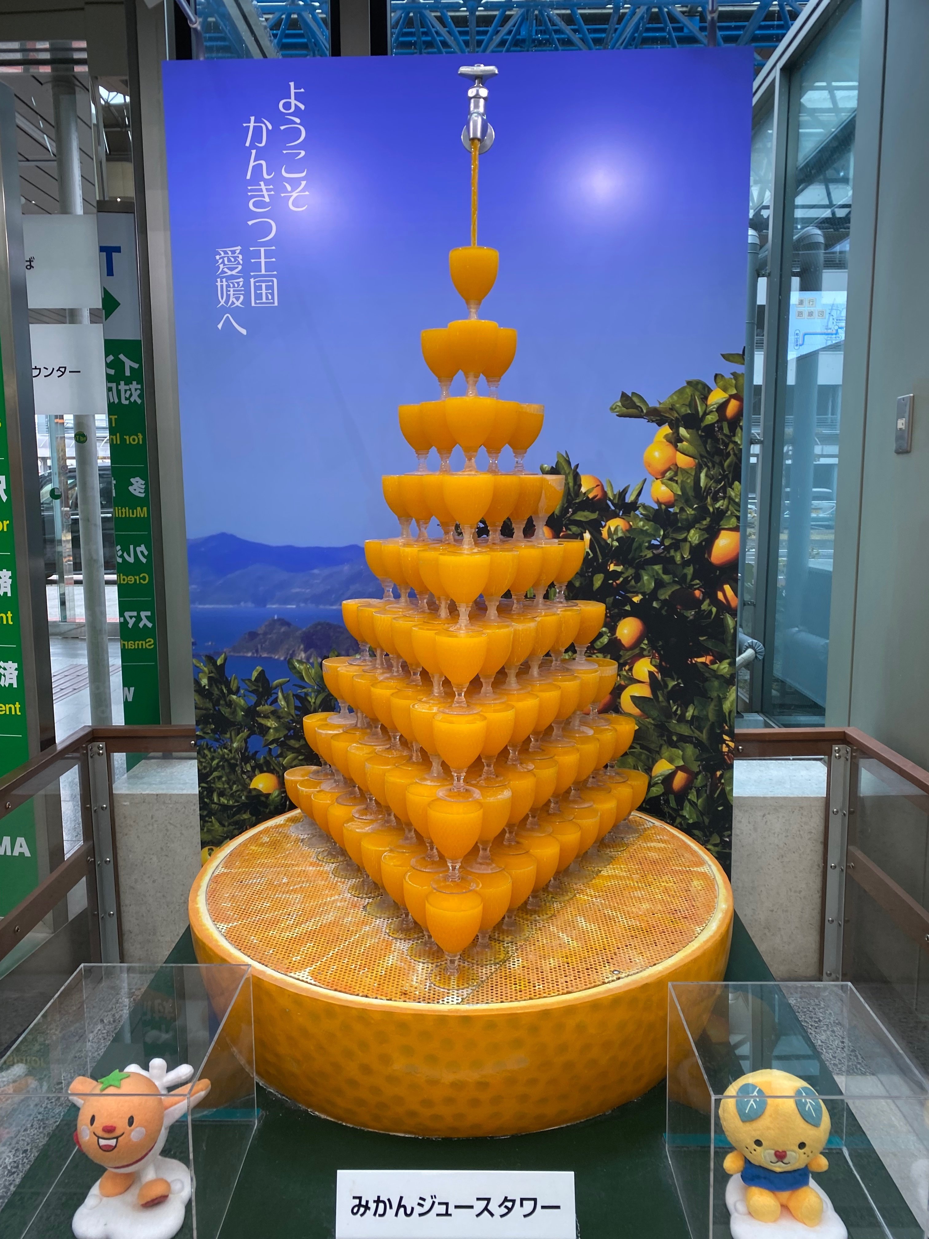 愛媛オレンジバイキングスホームゲーム視察｜島田慎二