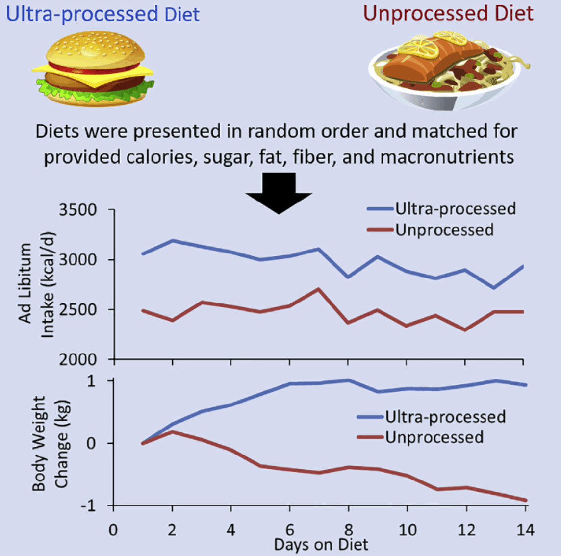 上段：摂取カロリー　下段：体重変化（青：超加工食品　赤：無加工食品）