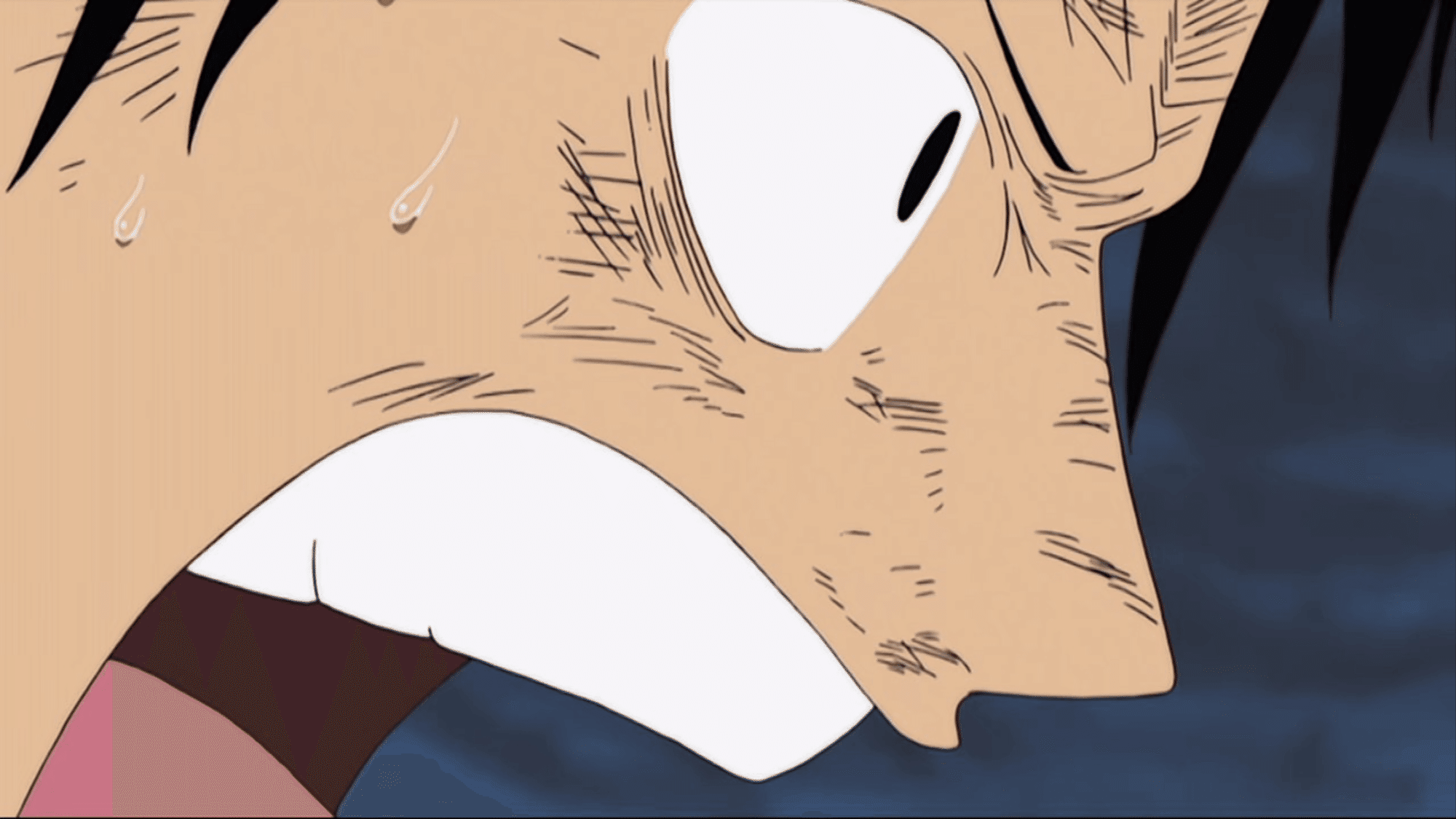 ワンピース 770話分 見ました 1 Sazi Note ワンピース 770話分 見ました 1 Sazi Note